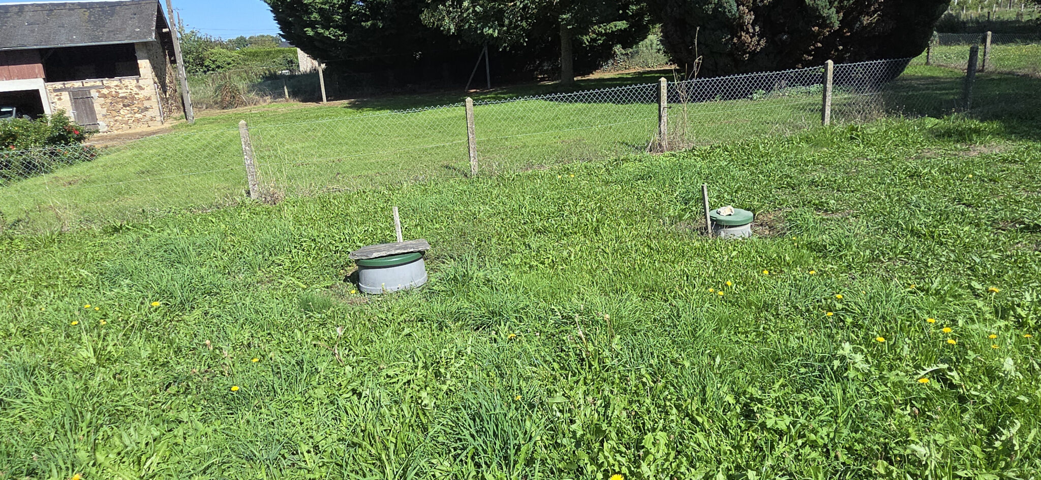 Photo 5 — IMMO COUR ET JARDIN