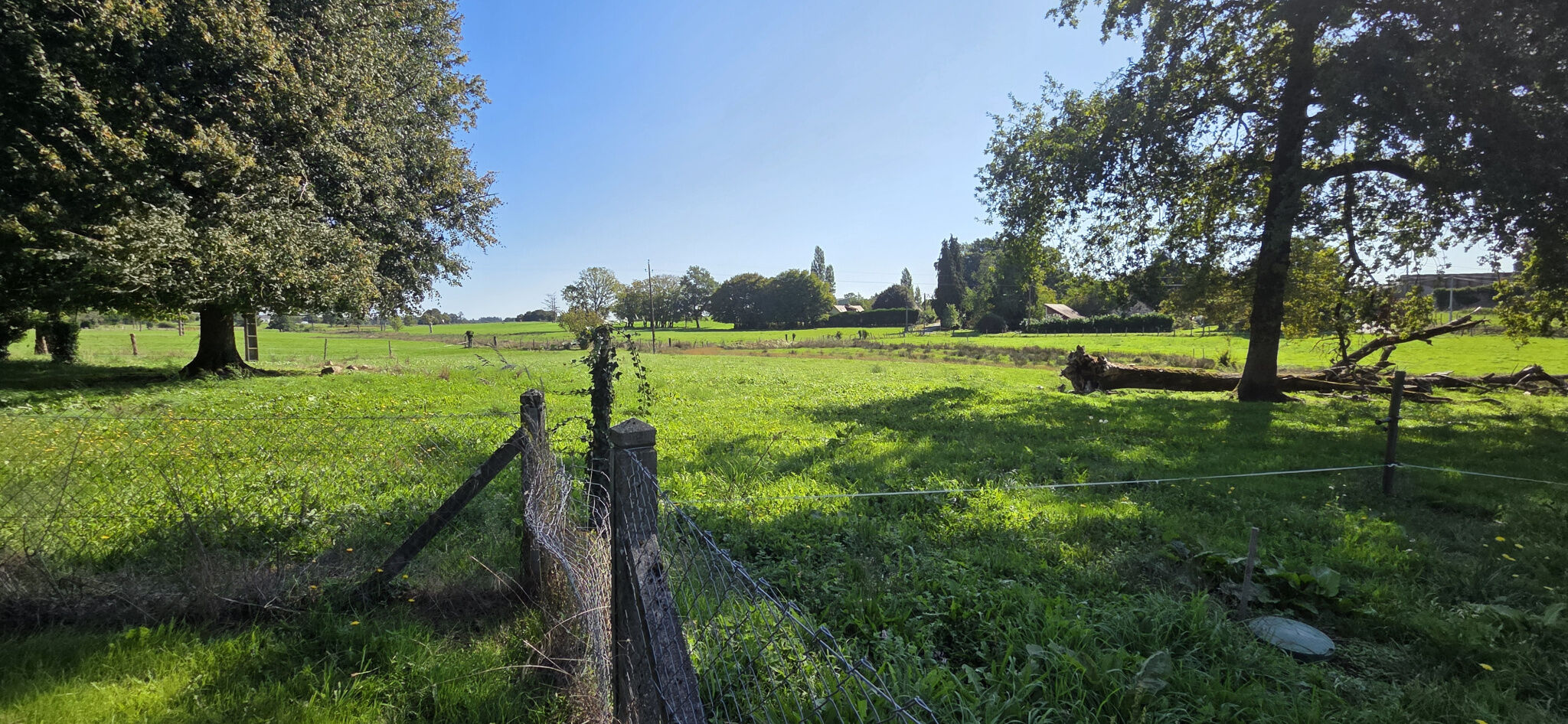 Photo 20 — IMMO COUR ET JARDIN