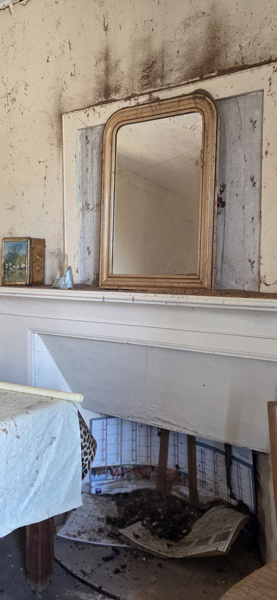 Photo 24 — IMMO COUR ET JARDIN