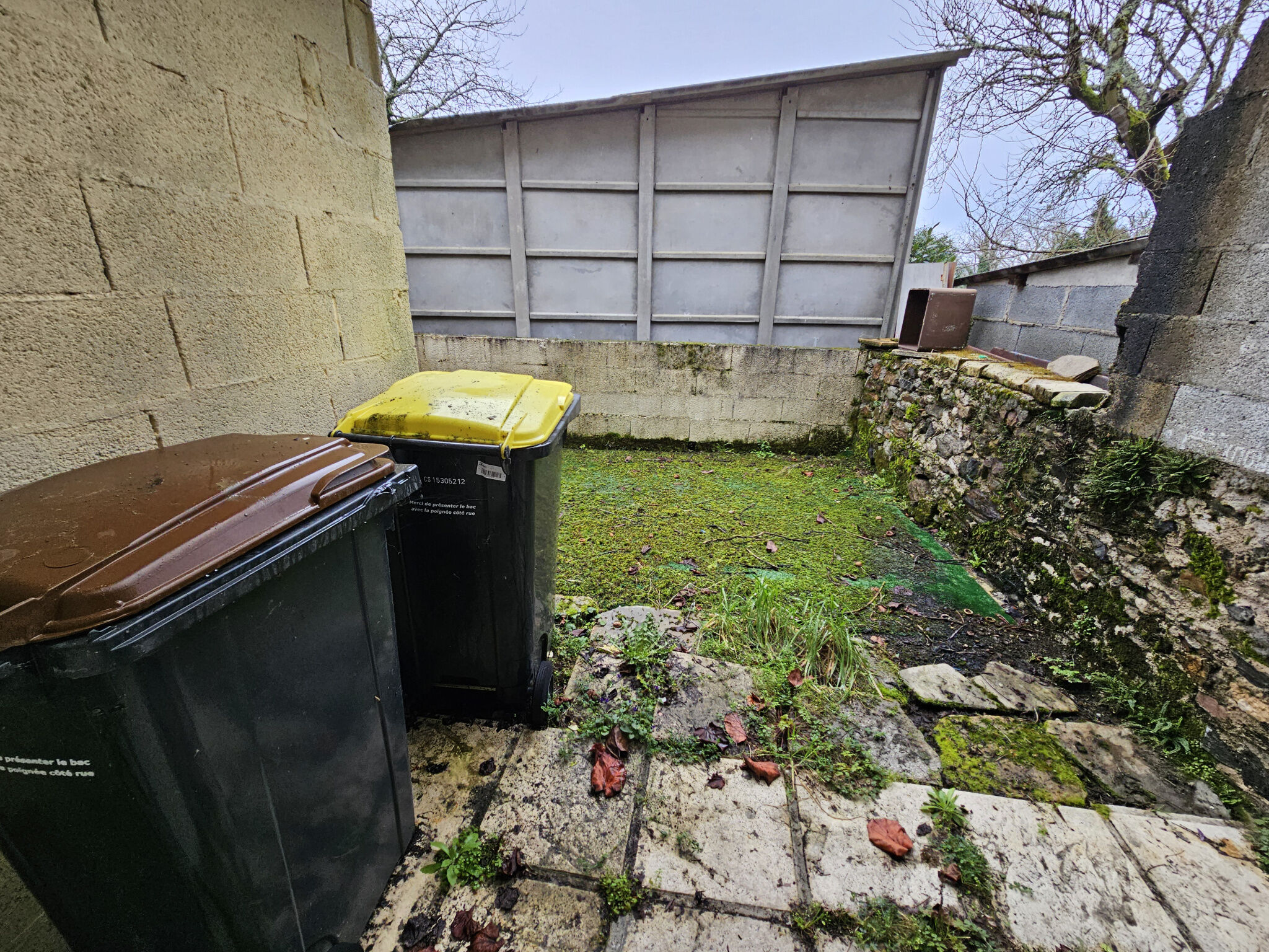 Photo 10 — IMMO COUR ET JARDIN