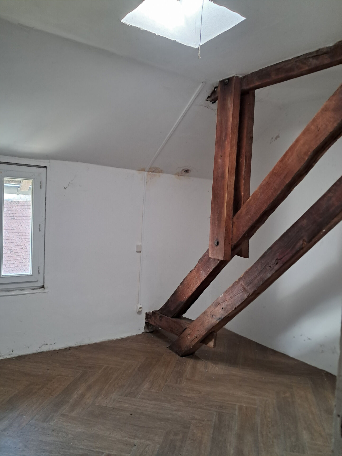 Photo 9 — IMMO COUR ET JARDIN