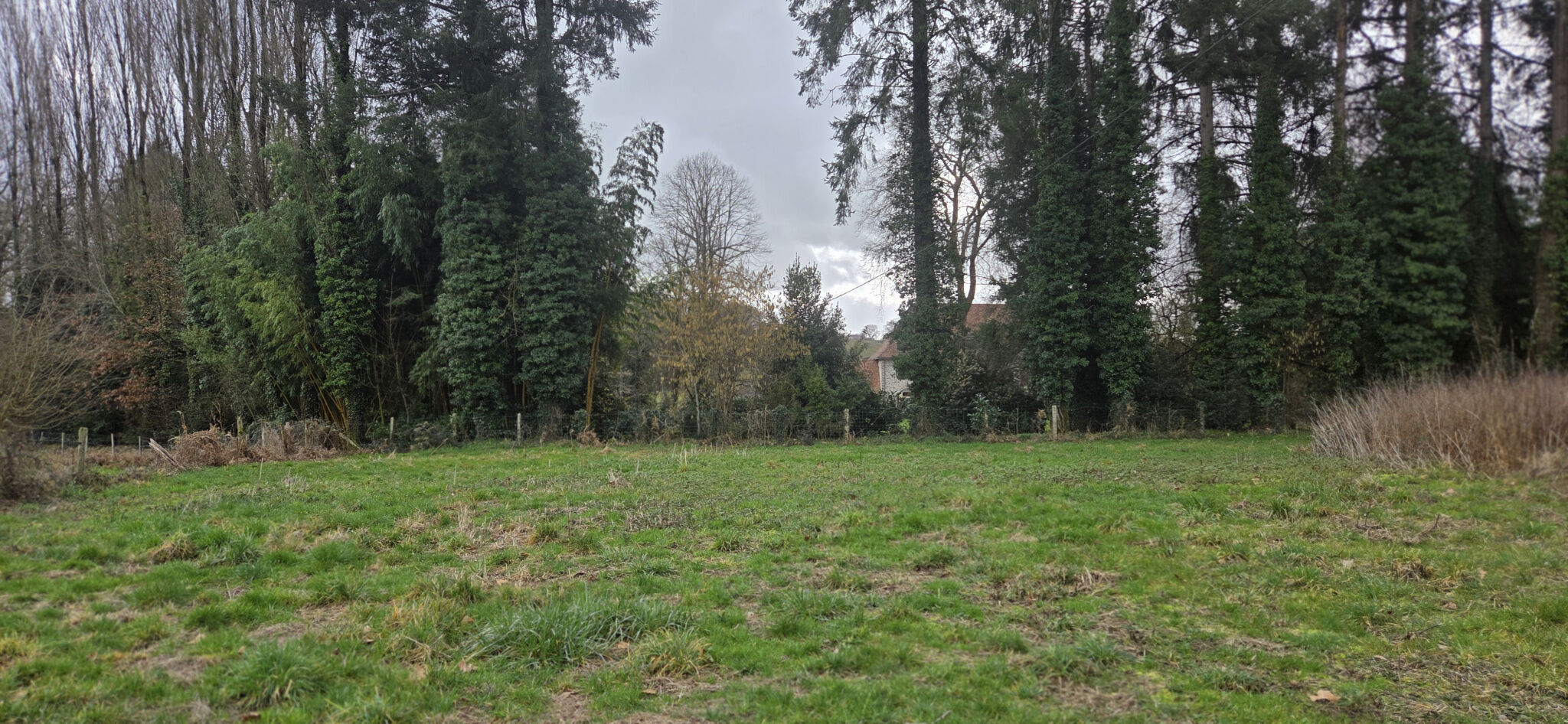 Photo 5 — IMMO COUR ET JARDIN
