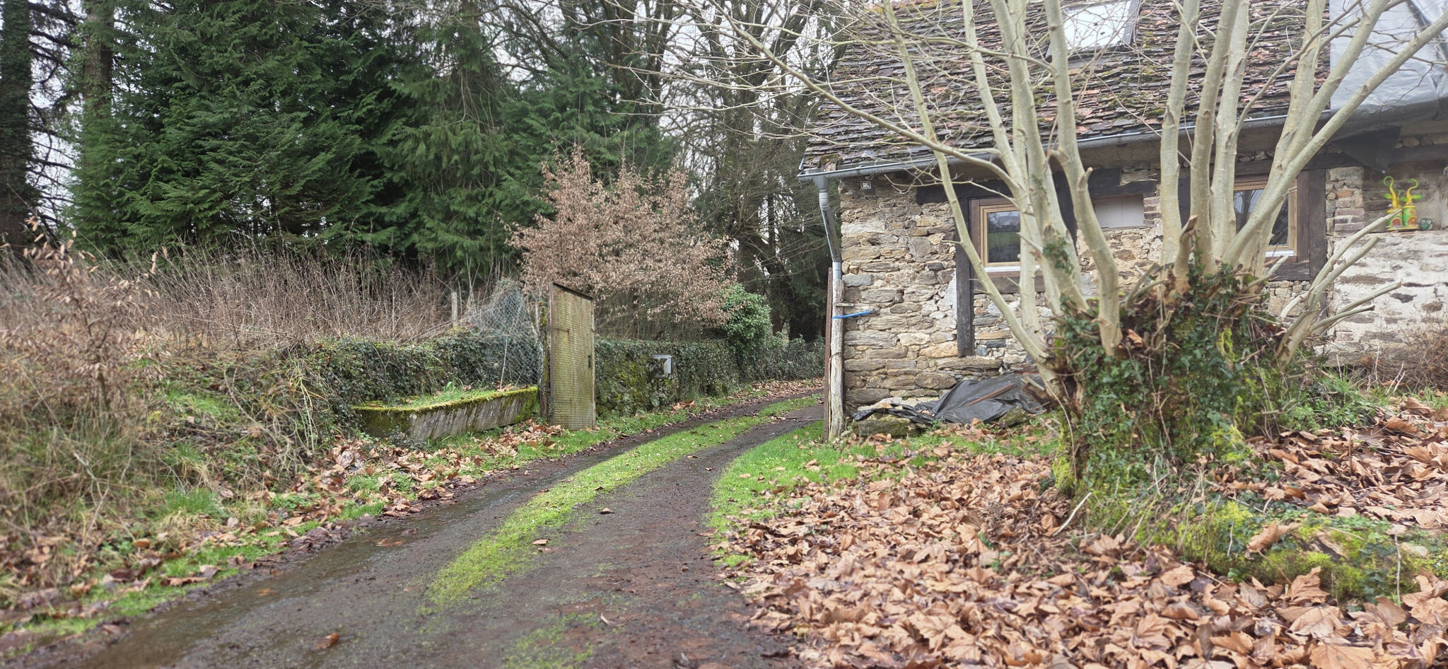 Photo 2 — IMMO COUR ET JARDIN