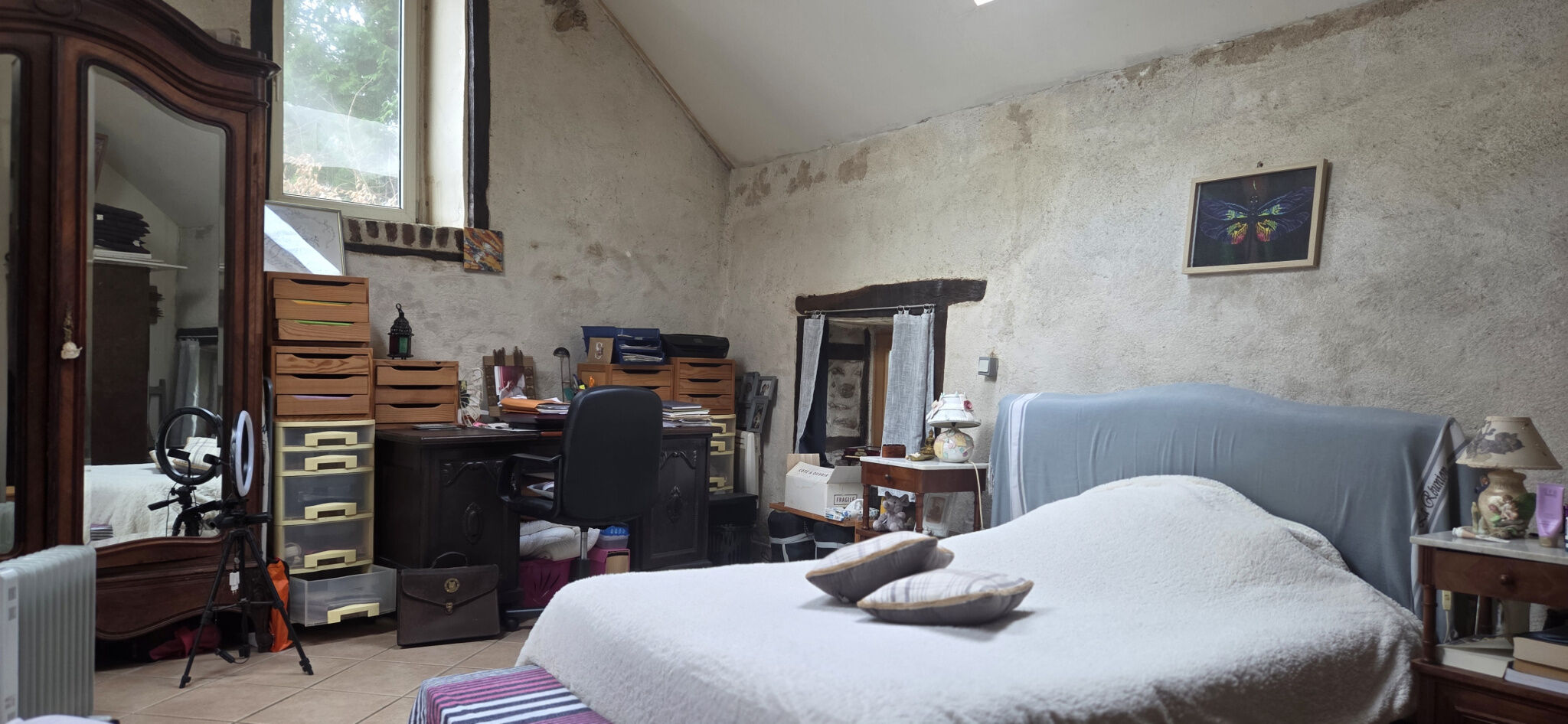 Photo 10 — IMMO COUR ET JARDIN