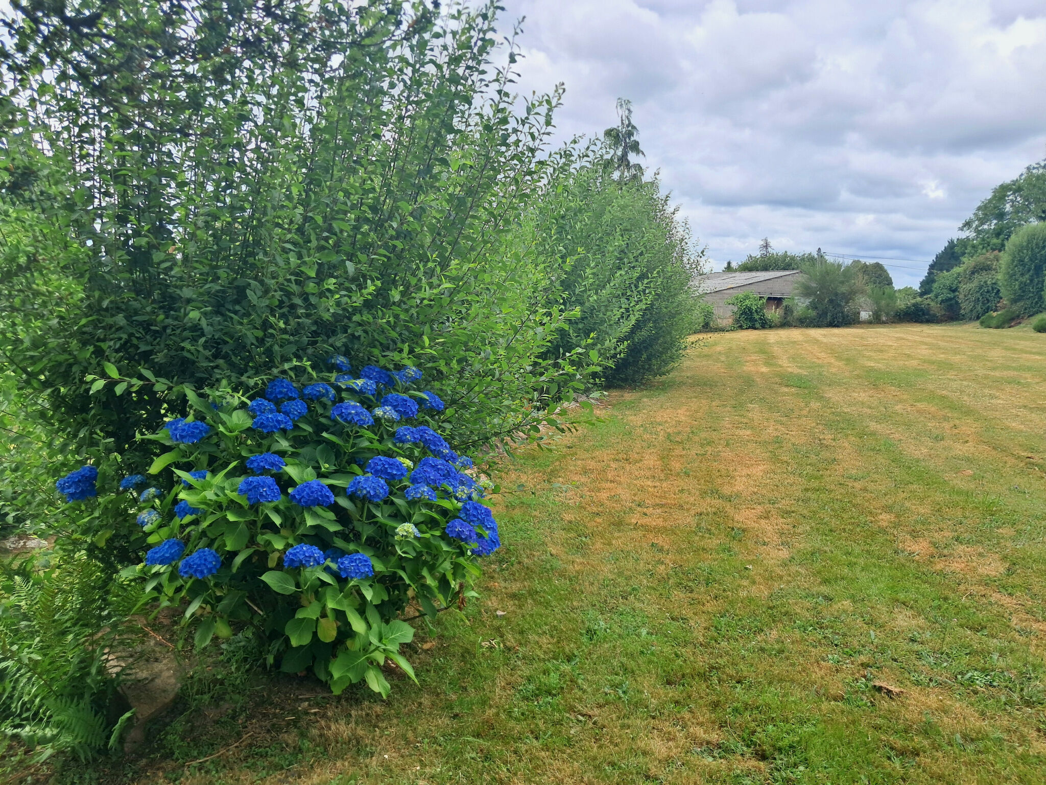 Photo 8 — IMMO COUR ET JARDIN