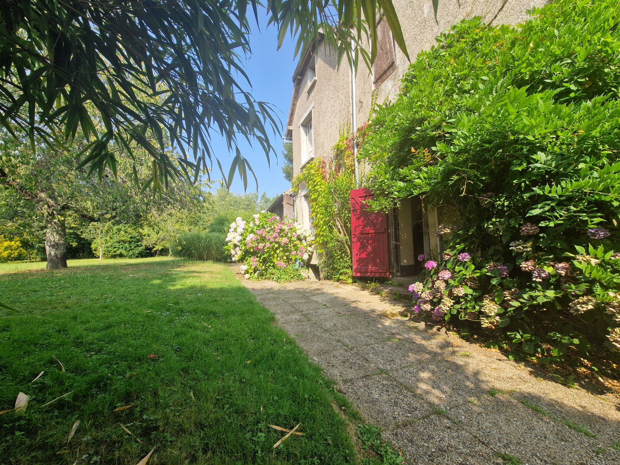 Photo 3 — IMMO COUR ET JARDIN