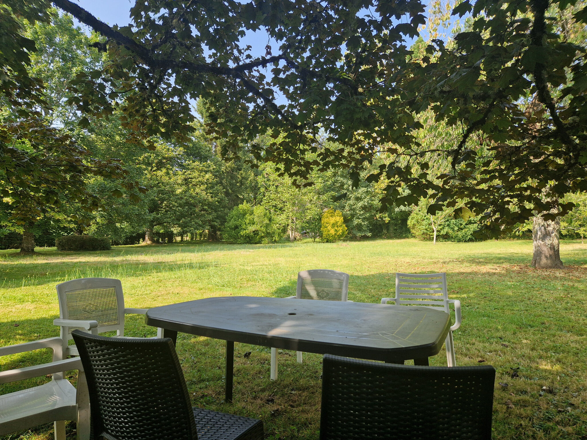 Photo 2 — IMMO COUR ET JARDIN