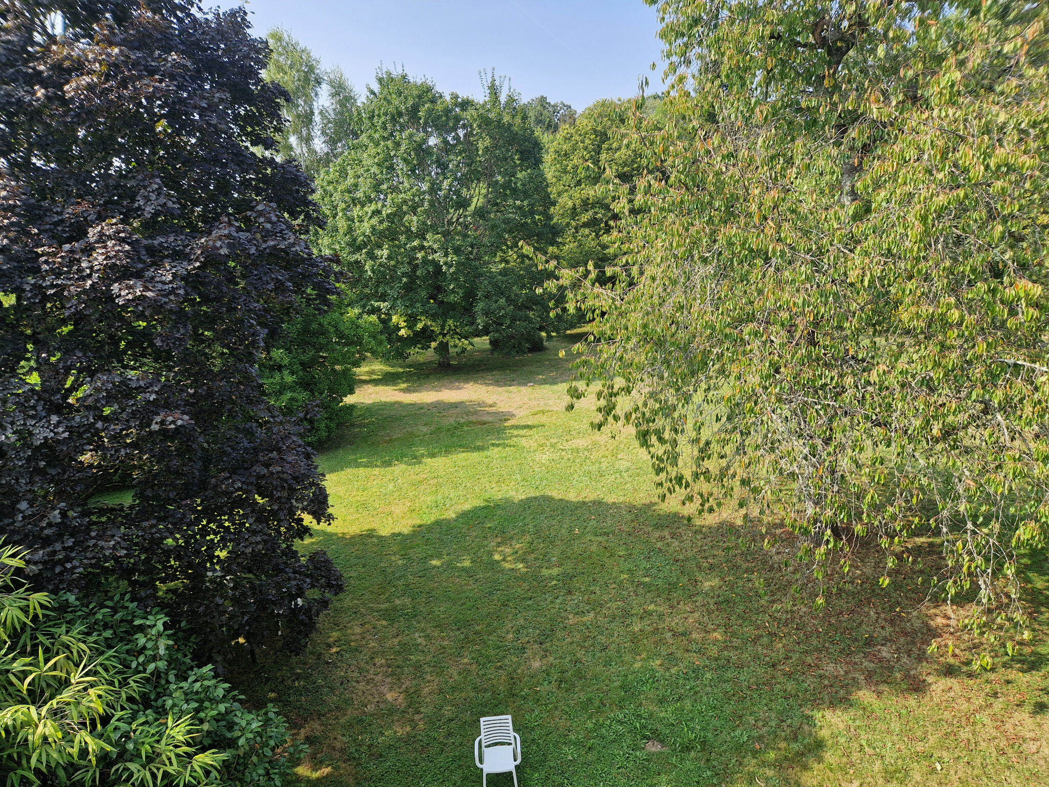 Photo 19 — IMMO COUR ET JARDIN