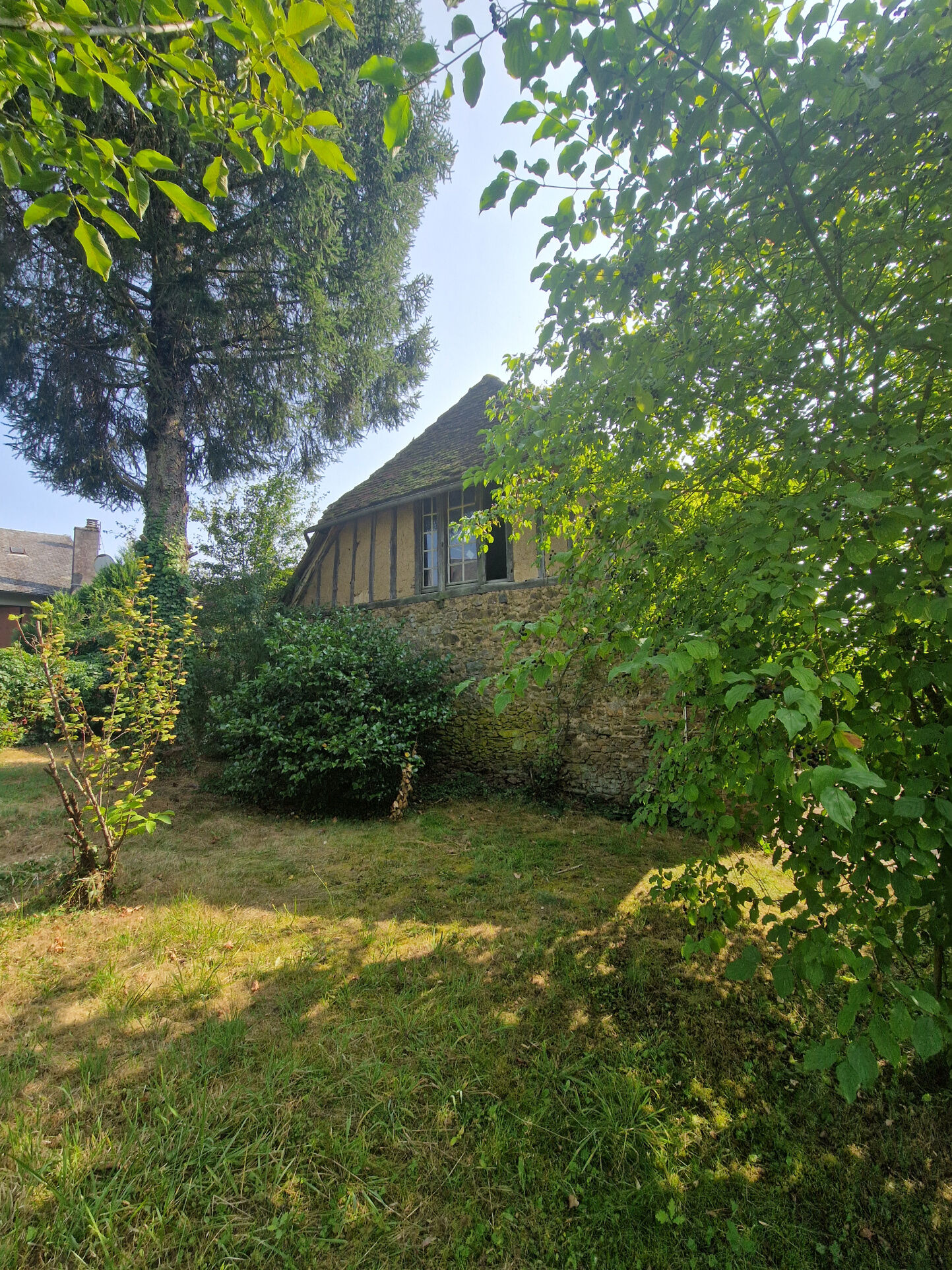 Photo 16 — IMMO COUR ET JARDIN