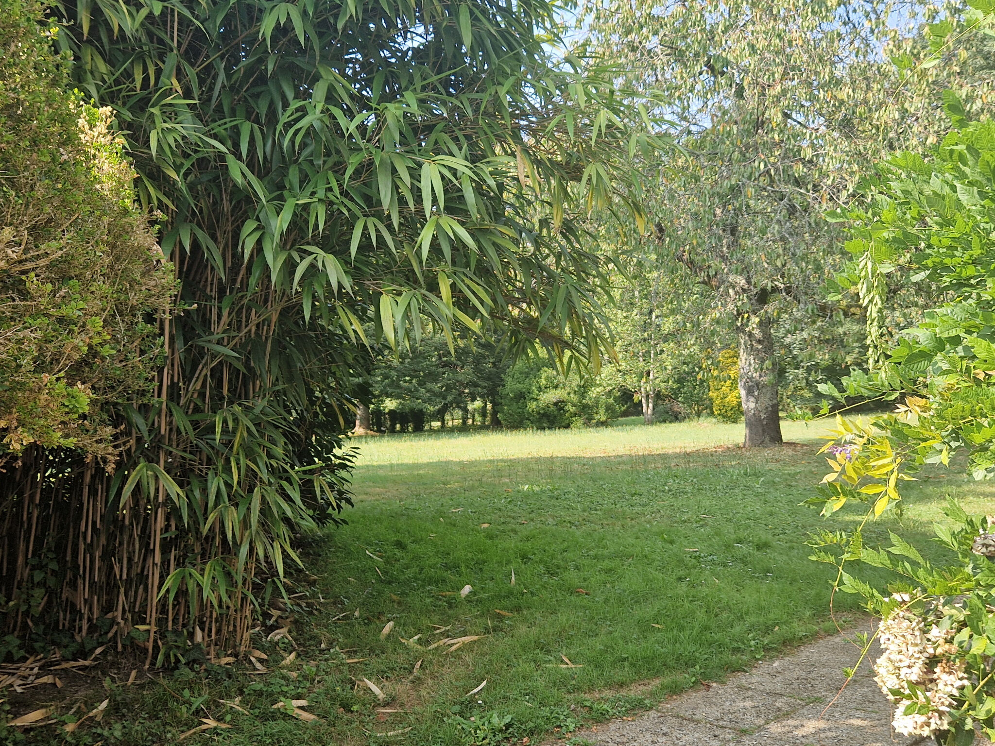 Photo 13 — IMMO COUR ET JARDIN