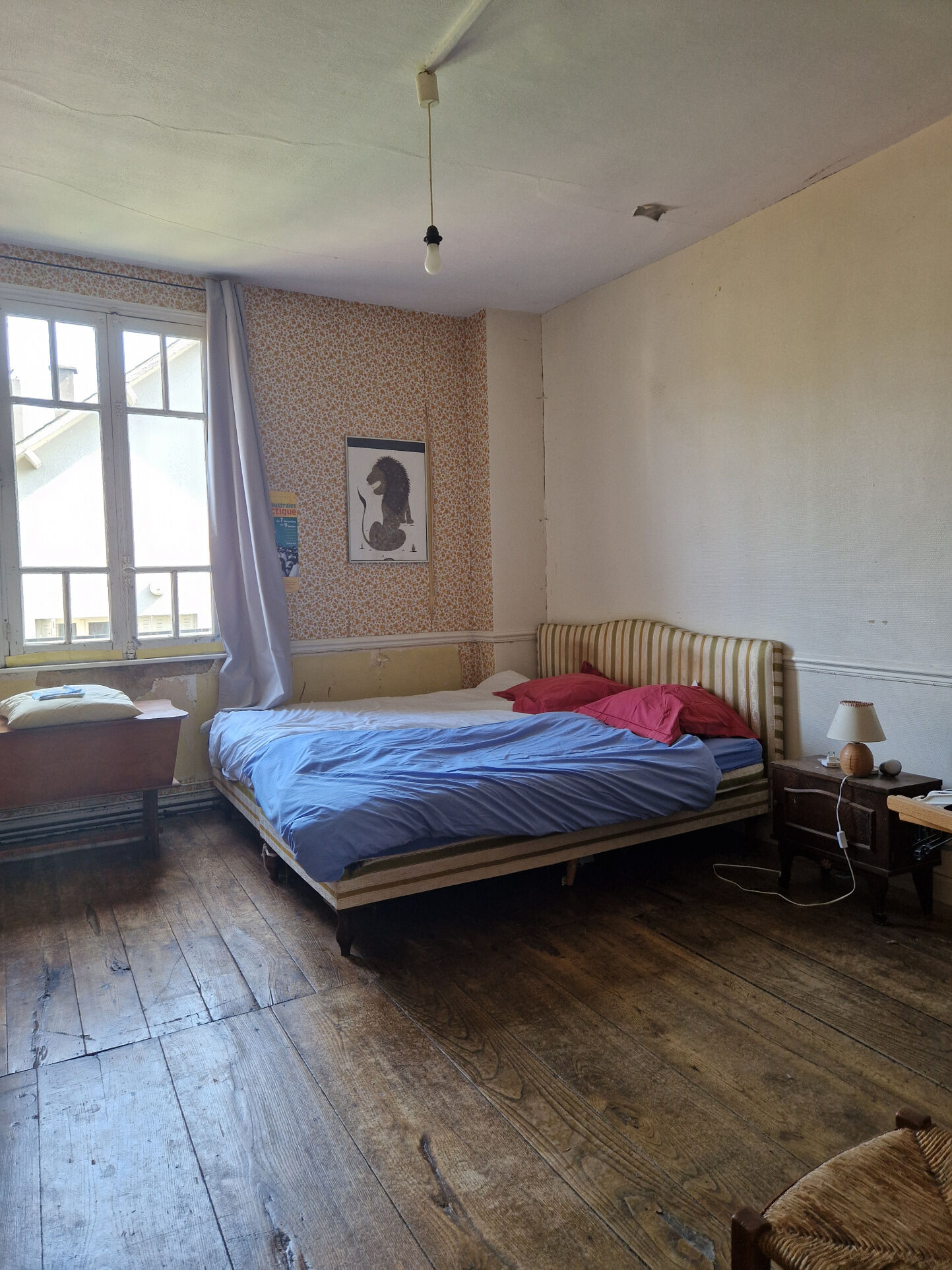Photo 25 — IMMO COUR ET JARDIN