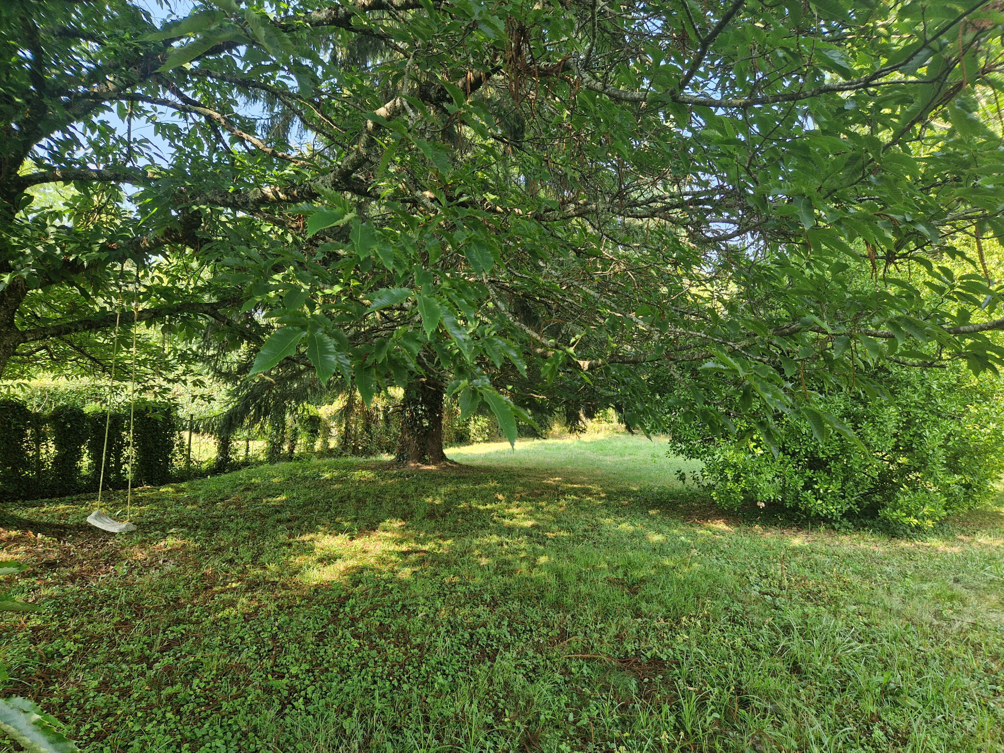 Photo 14 — IMMO COUR ET JARDIN