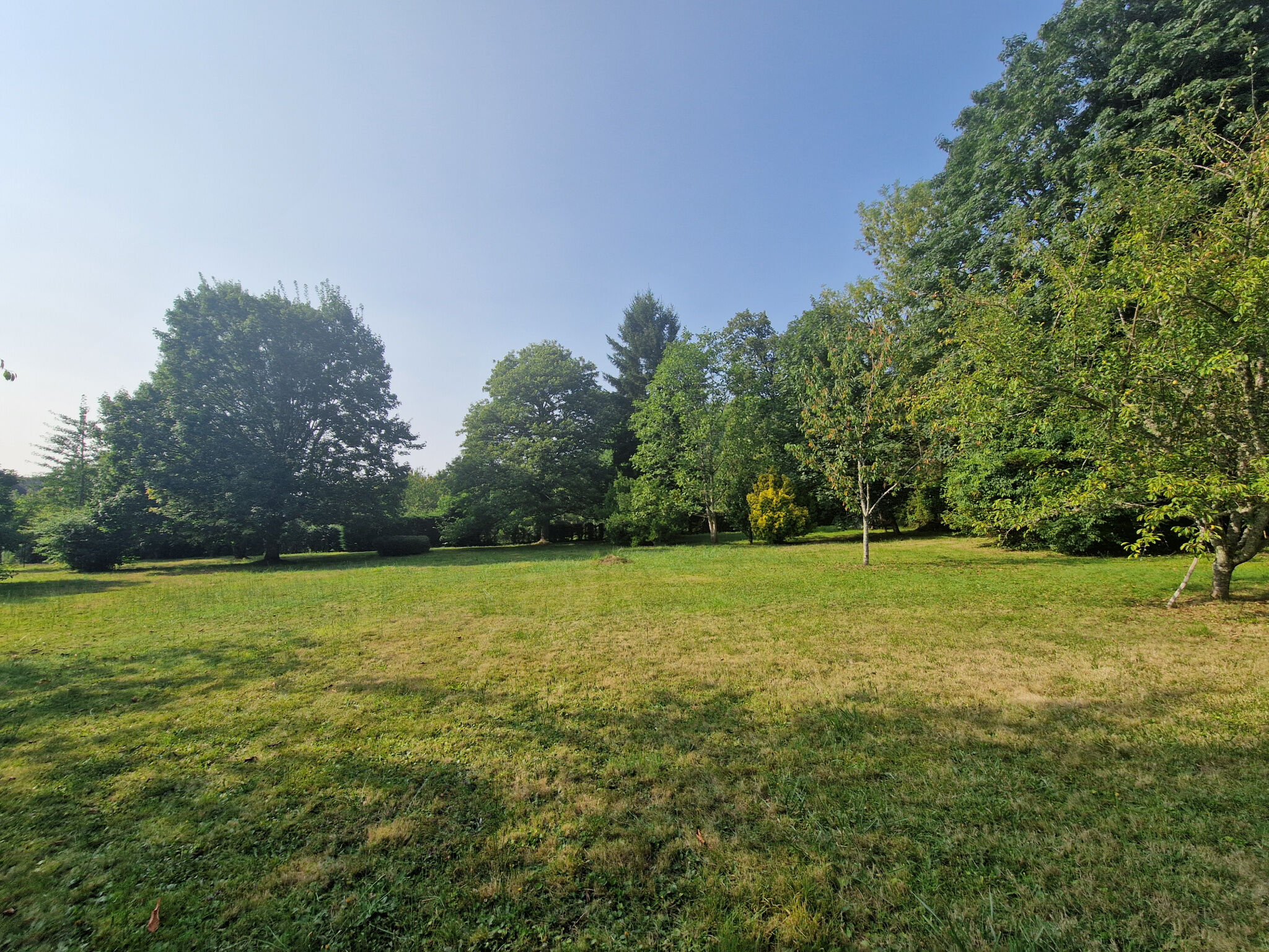 Photo 15 — IMMO COUR ET JARDIN