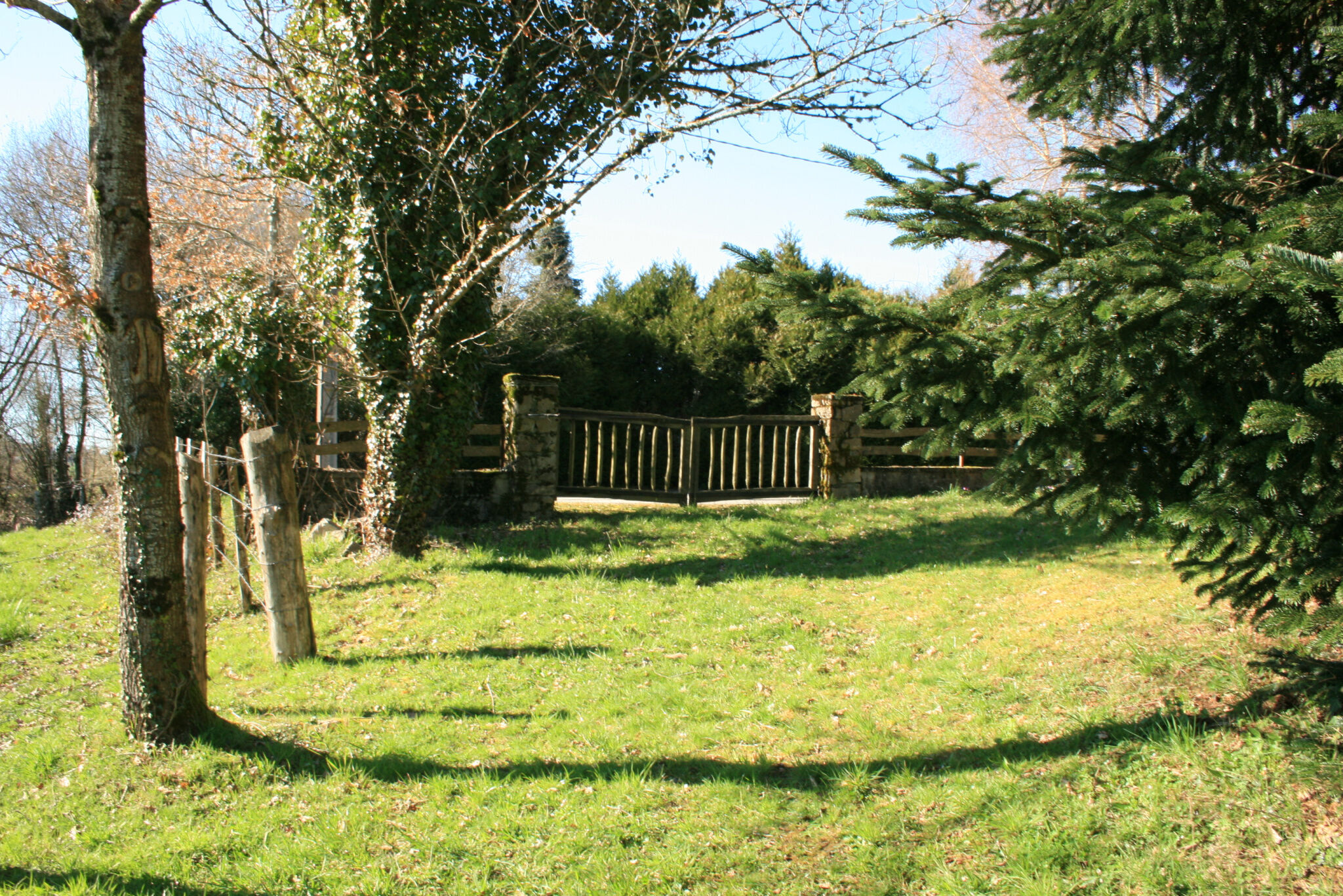 Photo 8 — IMMO COUR ET JARDIN