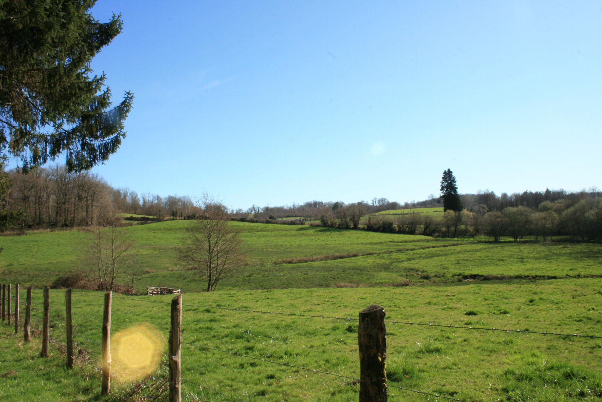 Photo 6 — IMMO COUR ET JARDIN