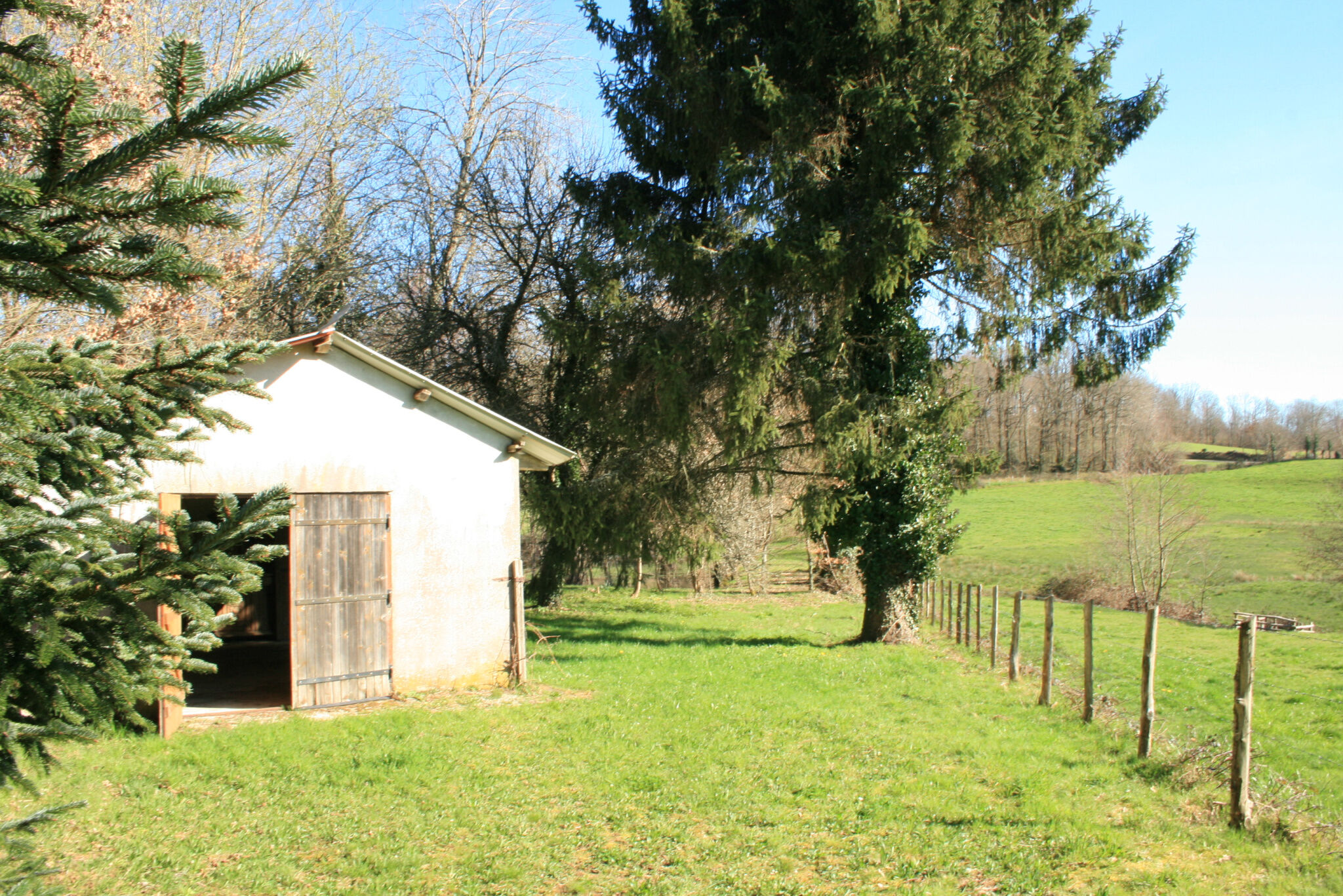 Photo 2 — IMMO COUR ET JARDIN