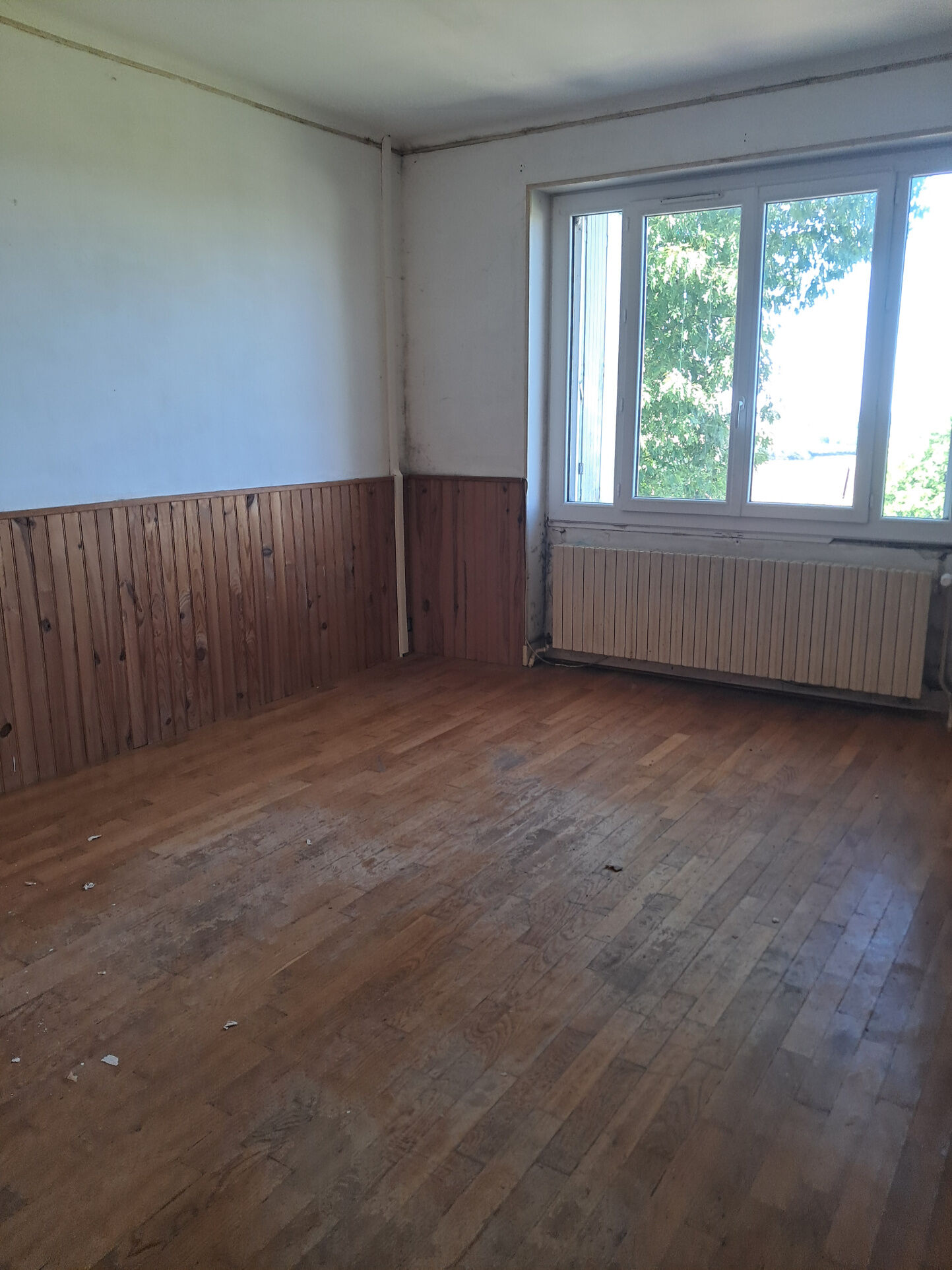 Photo 7 — IMMO COUR ET JARDIN