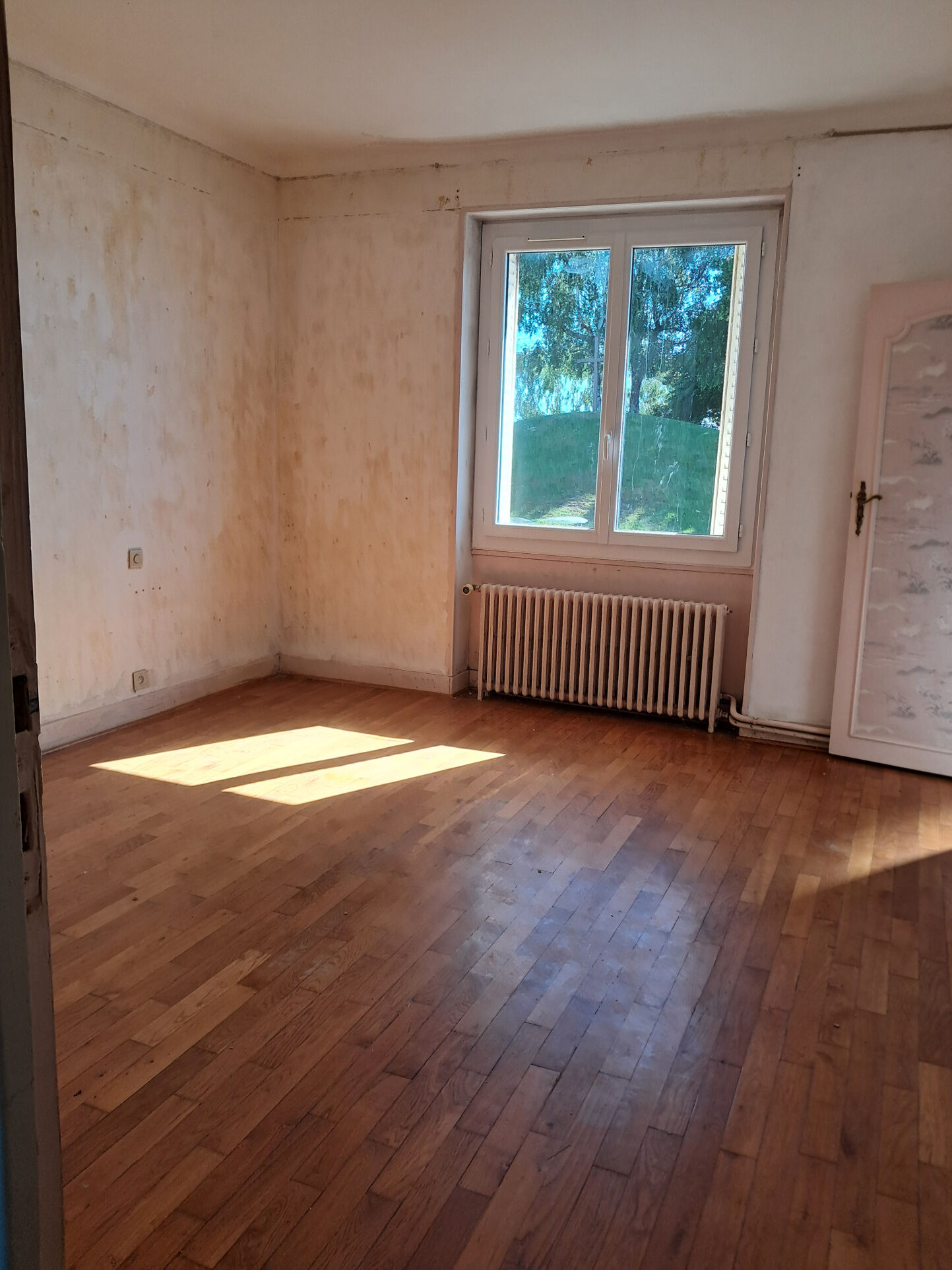 Photo 5 — IMMO COUR ET JARDIN