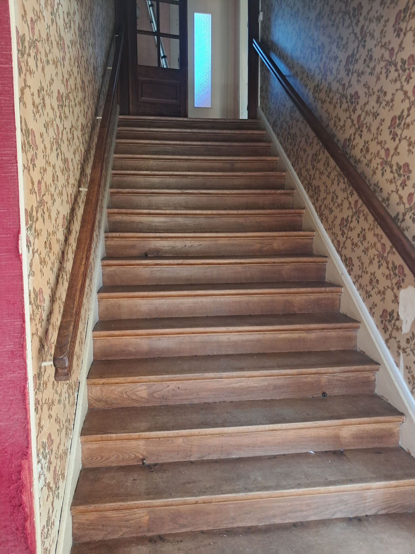 Photo 4 — IMMO COUR ET JARDIN