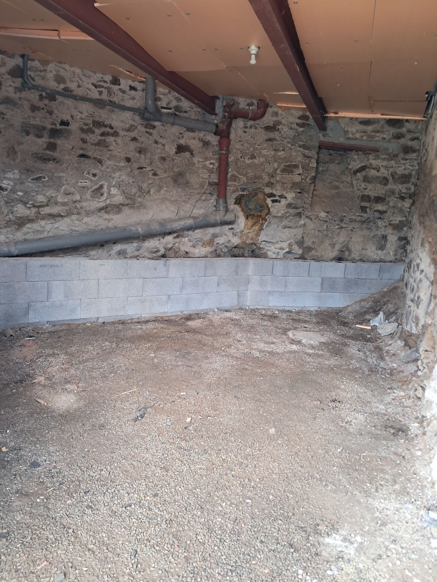 Photo 19 — IMMO COUR ET JARDIN