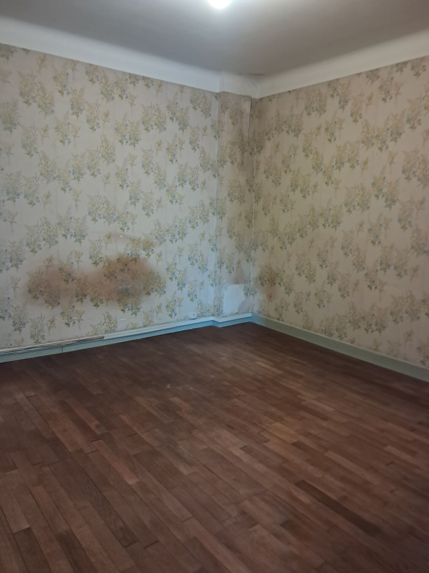 Photo 15 — IMMO COUR ET JARDIN