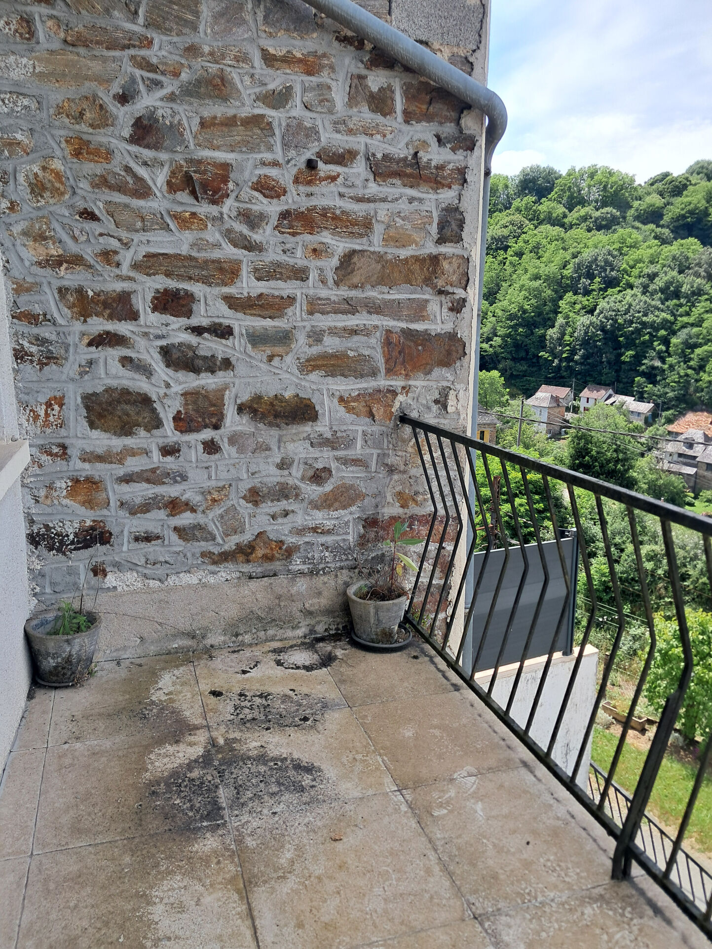 Photo 23 — IMMO COUR ET JARDIN