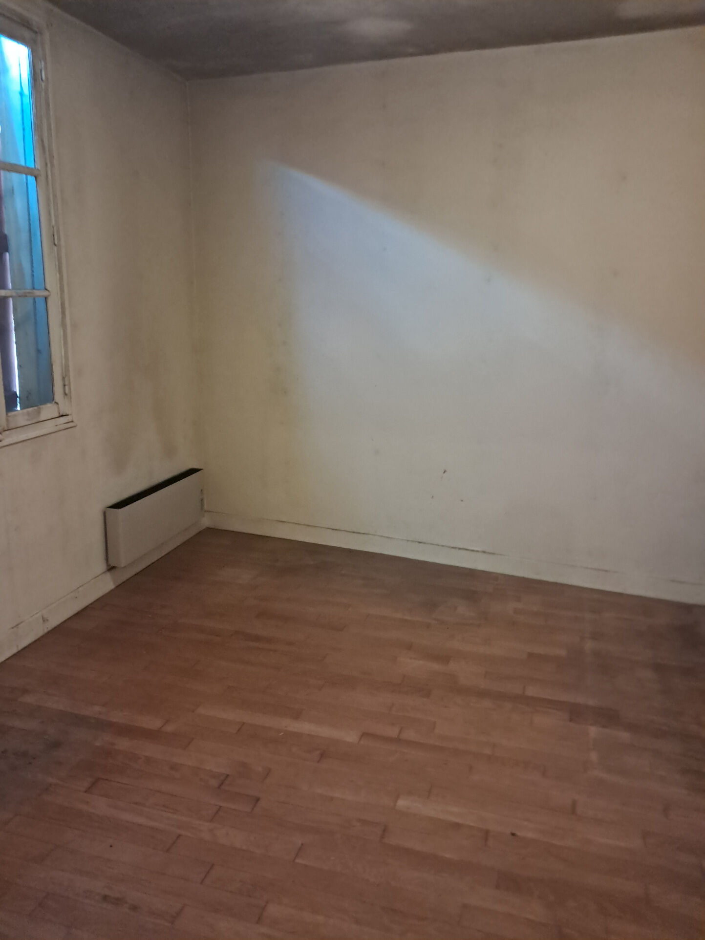 Photo 20 — IMMO COUR ET JARDIN