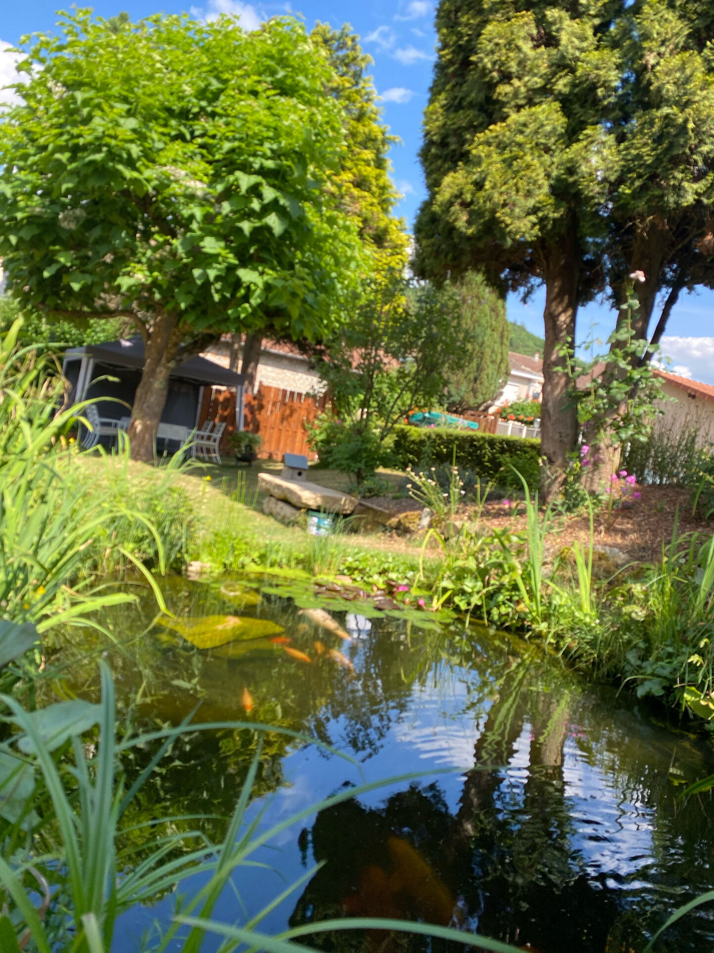 Photo 5 — IMMO COUR ET JARDIN