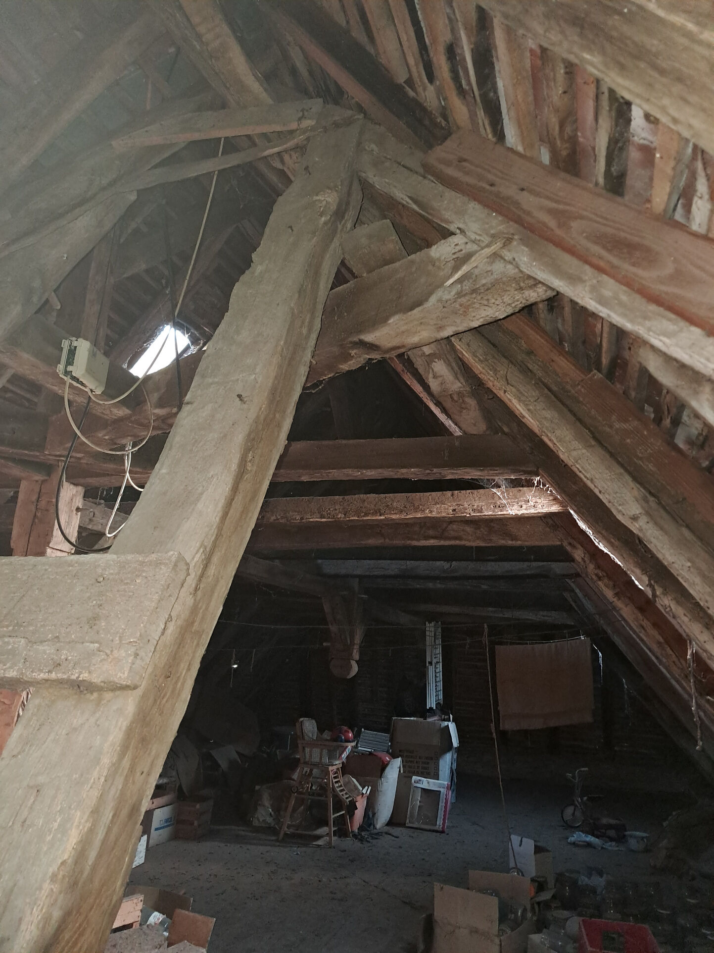 Photo 21 — IMMO COUR ET JARDIN