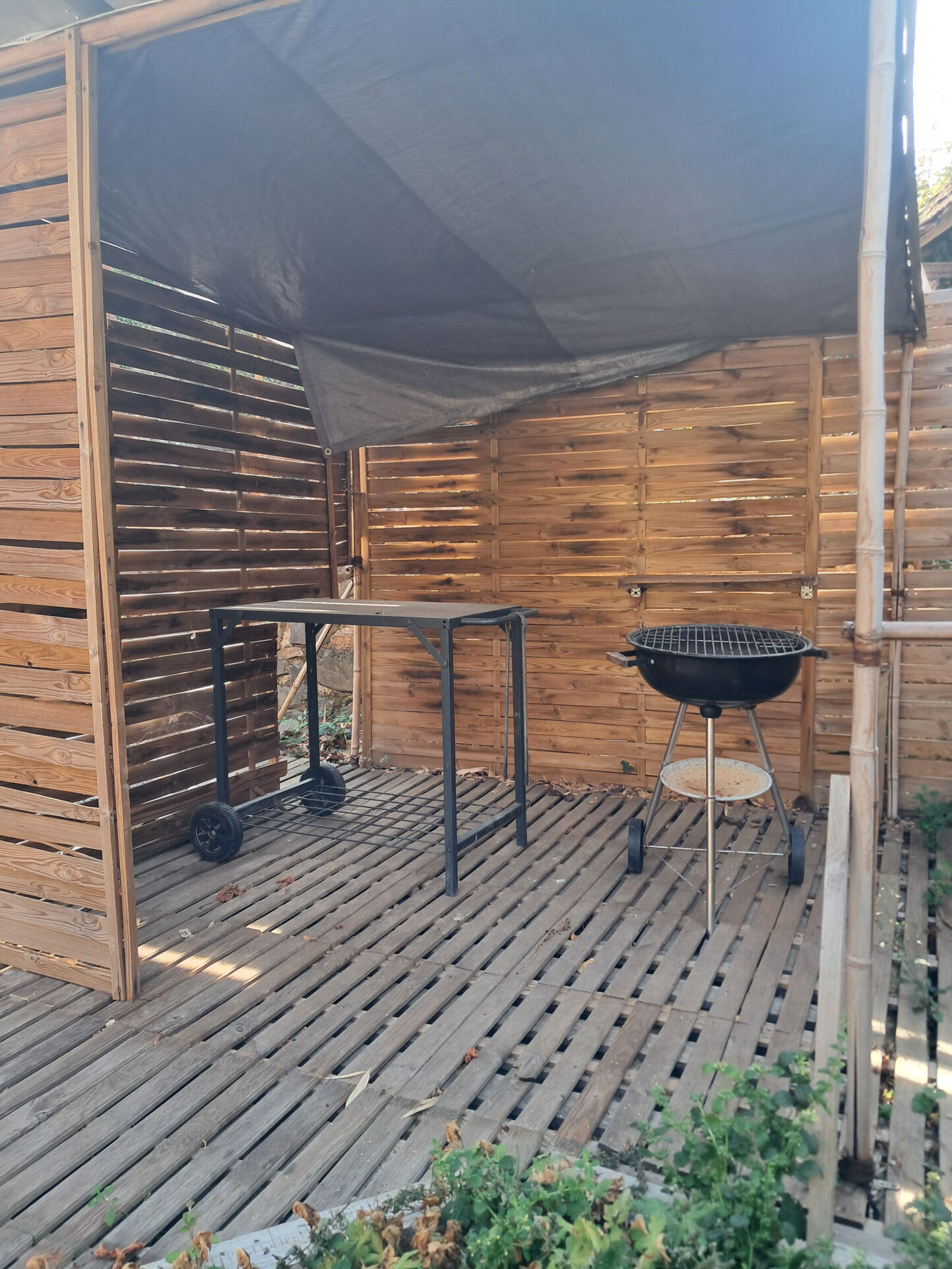 Photo 13 — IMMO COUR ET JARDIN