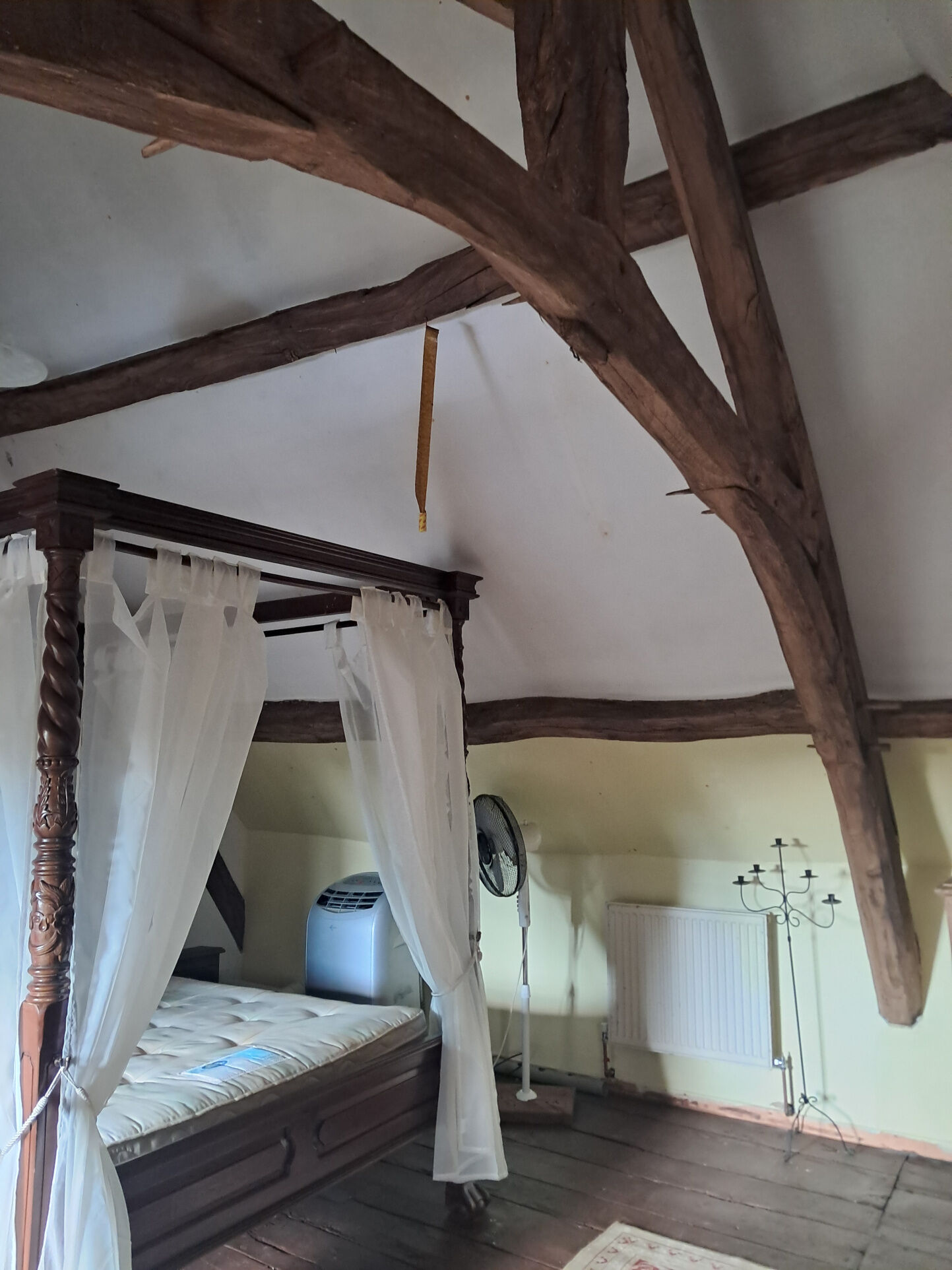 Photo 3 — IMMO COUR ET JARDIN
