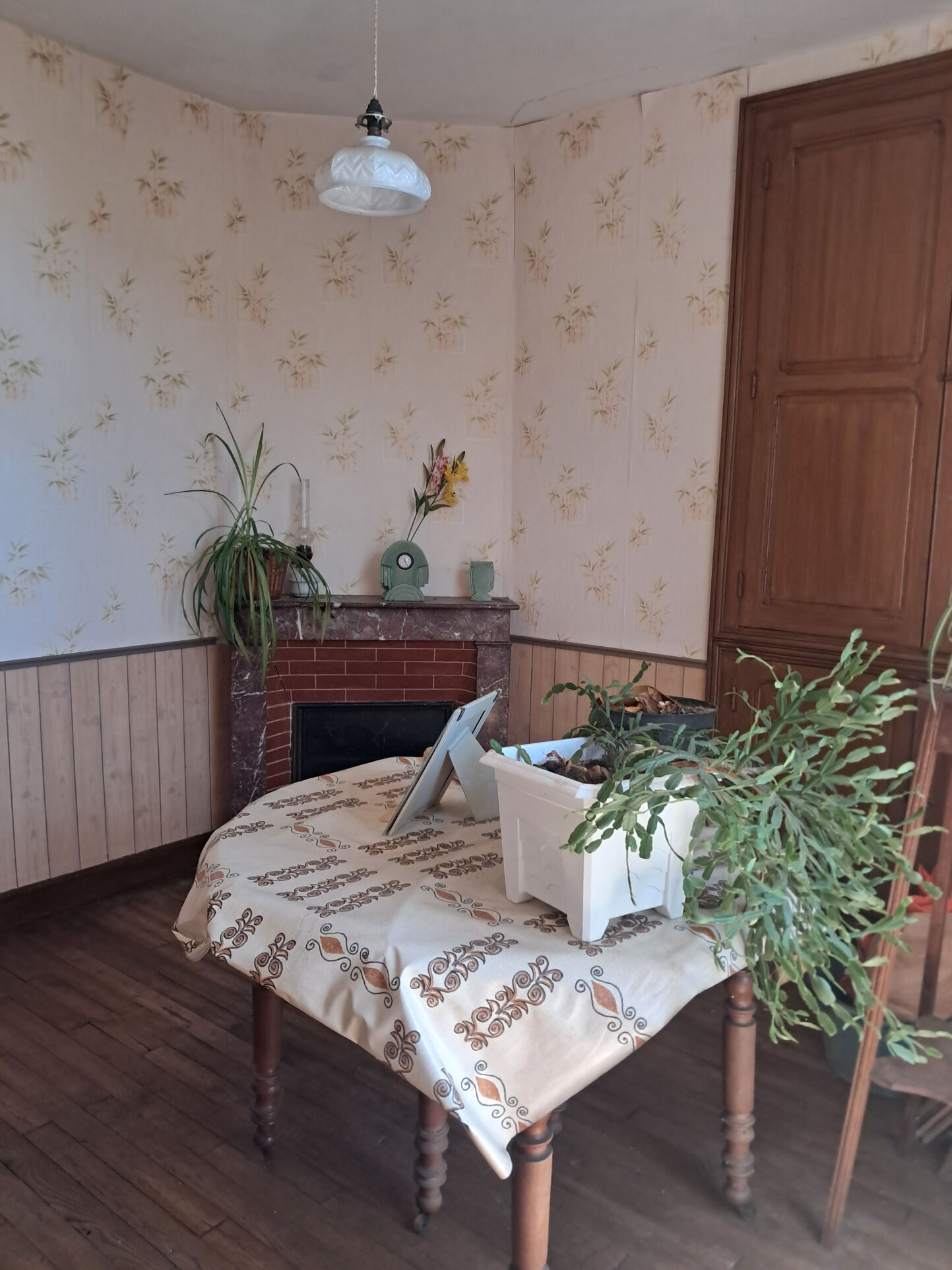 Photo 3 — IMMO COUR ET JARDIN
