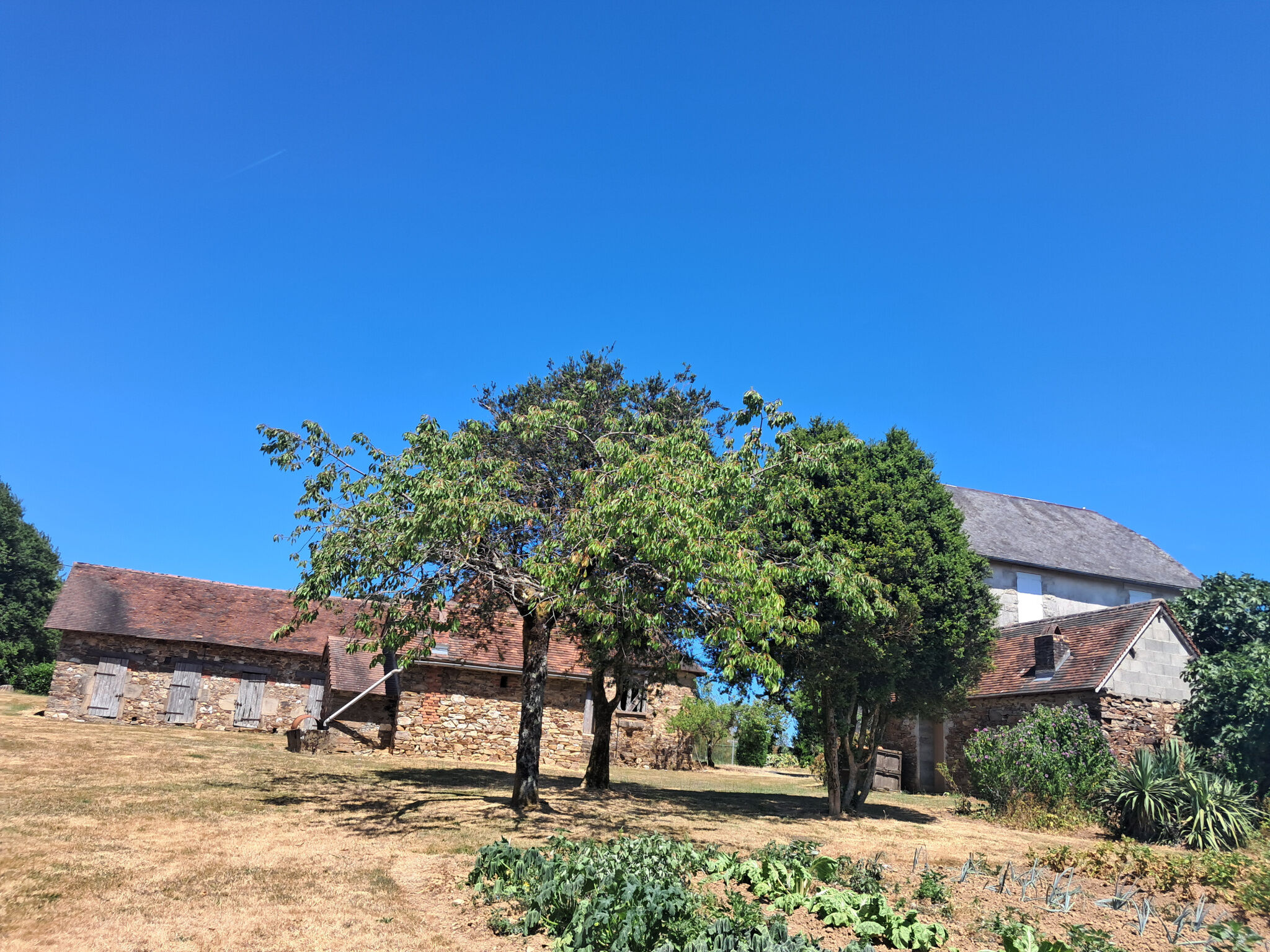 Photo 15 — IMMO COUR ET JARDIN