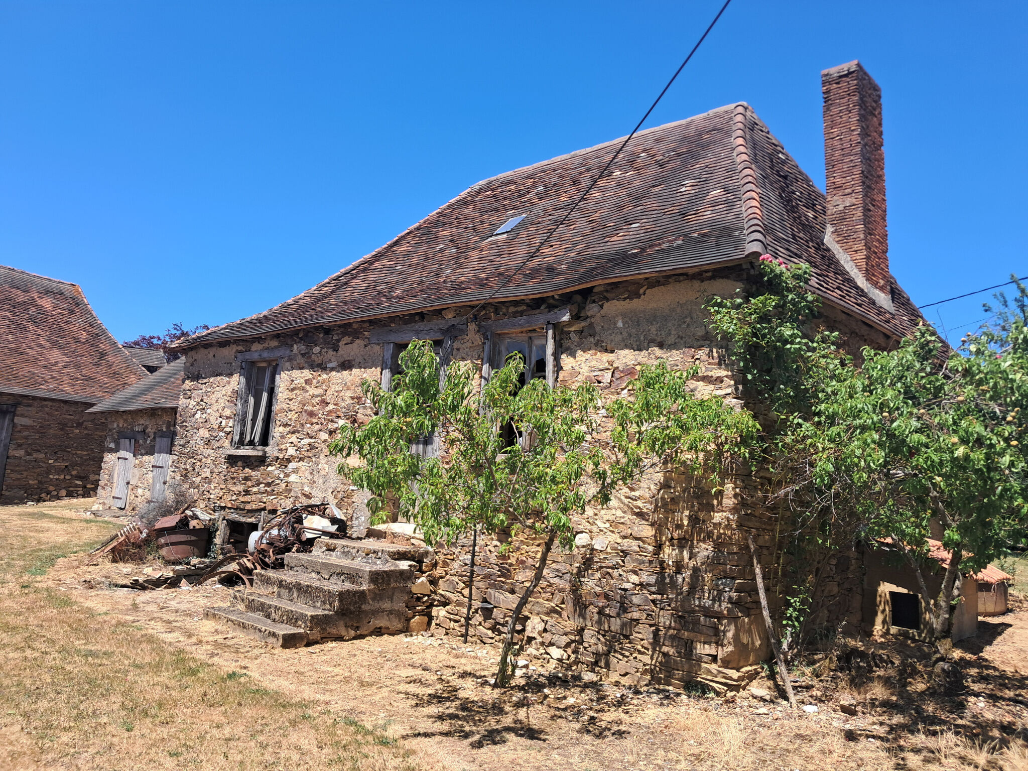 Photo 11 — IMMO COUR ET JARDIN