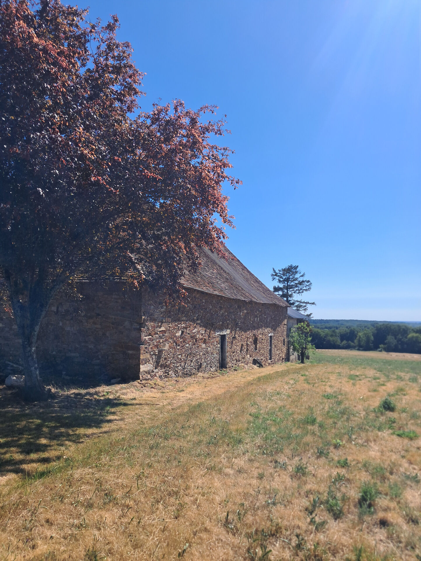 Photo 7 — IMMO COUR ET JARDIN