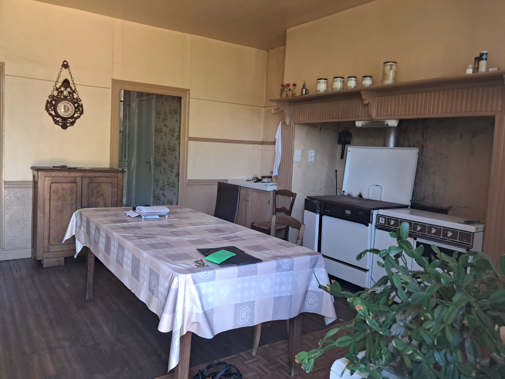 Photo 2 — IMMO COUR ET JARDIN