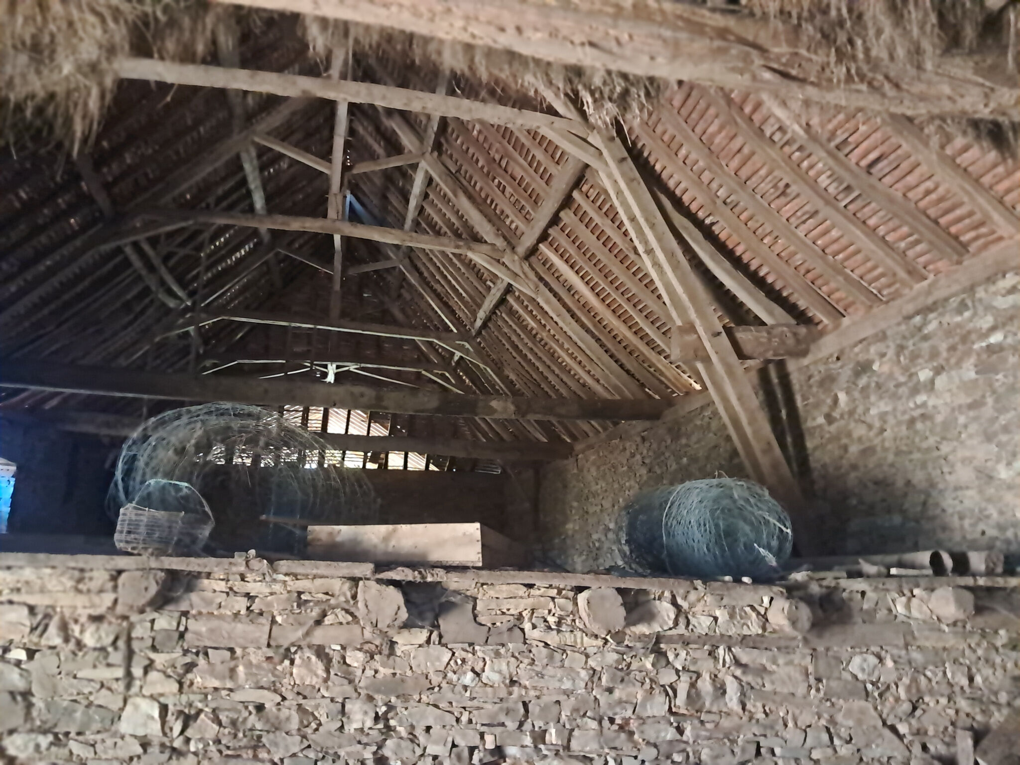 Photo 12 — IMMO COUR ET JARDIN