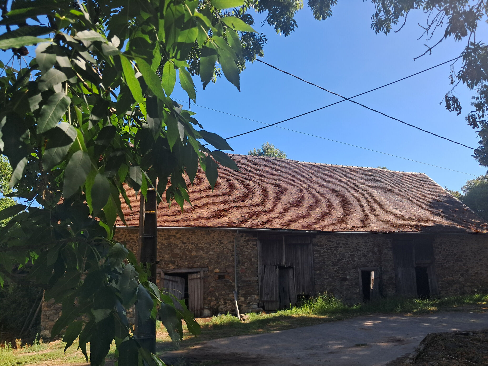 Photo 4 — IMMO COUR ET JARDIN