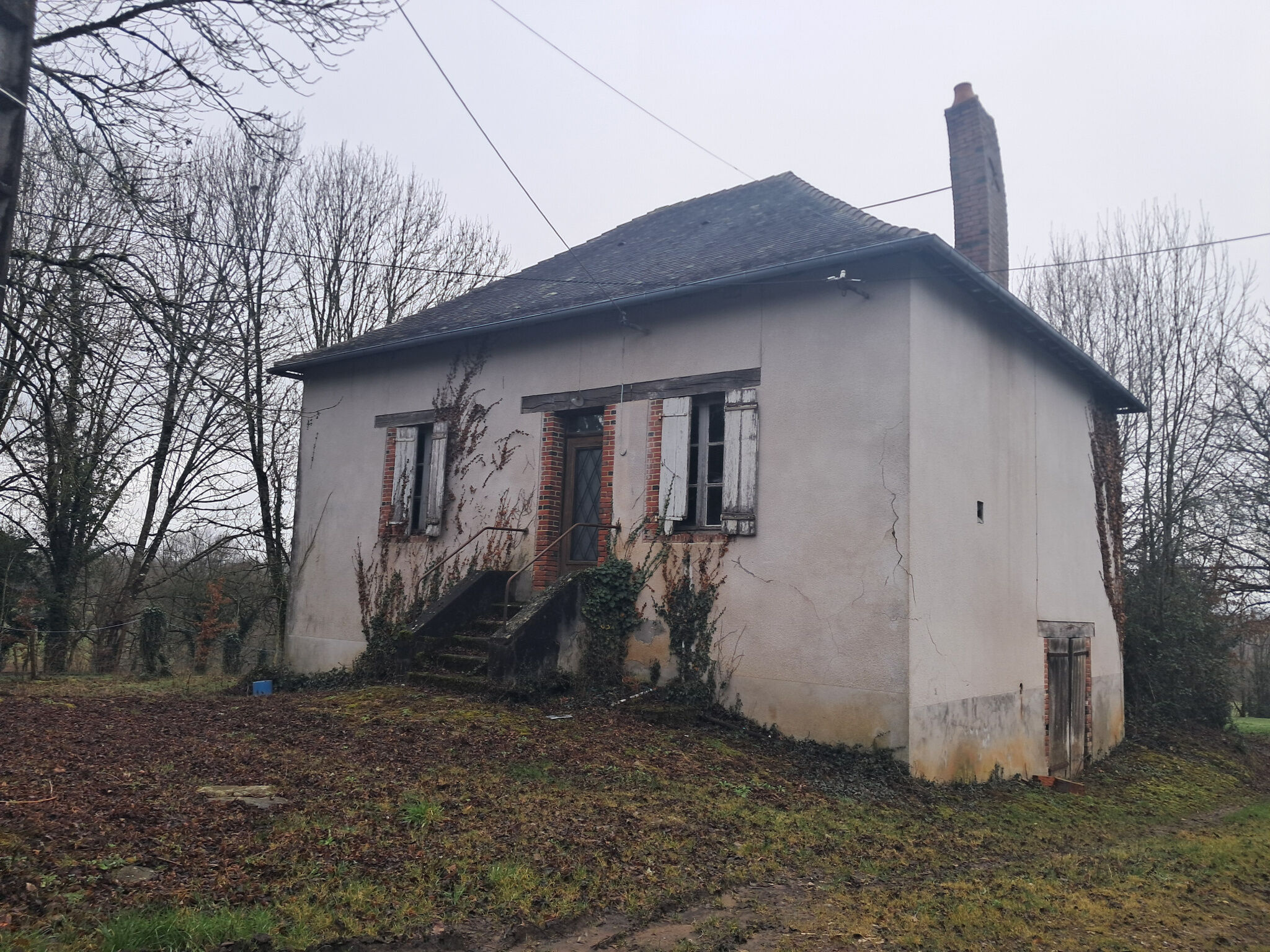 Photo 17 — IMMO COUR ET JARDIN