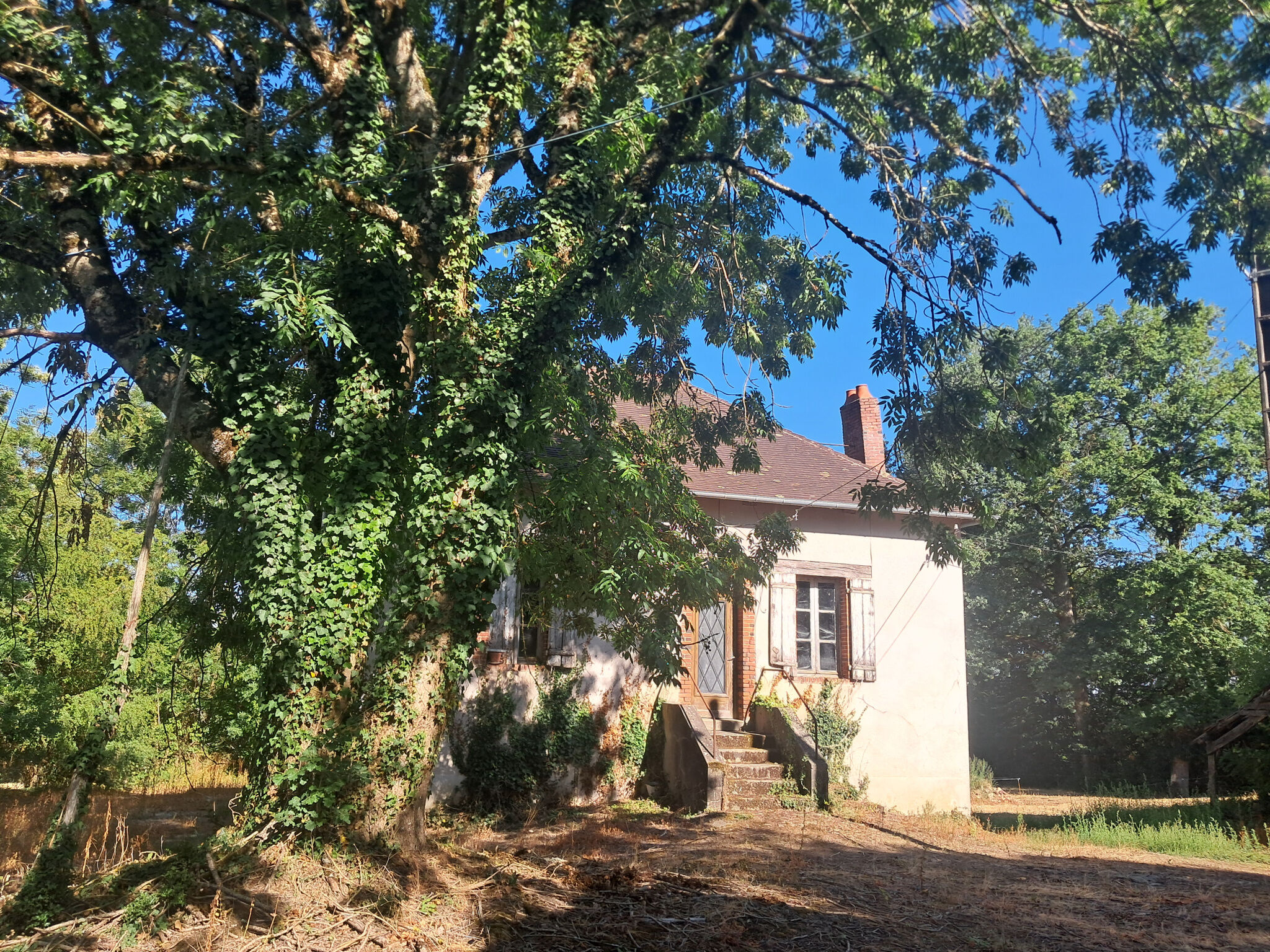 Photo 2 — IMMO COUR ET JARDIN