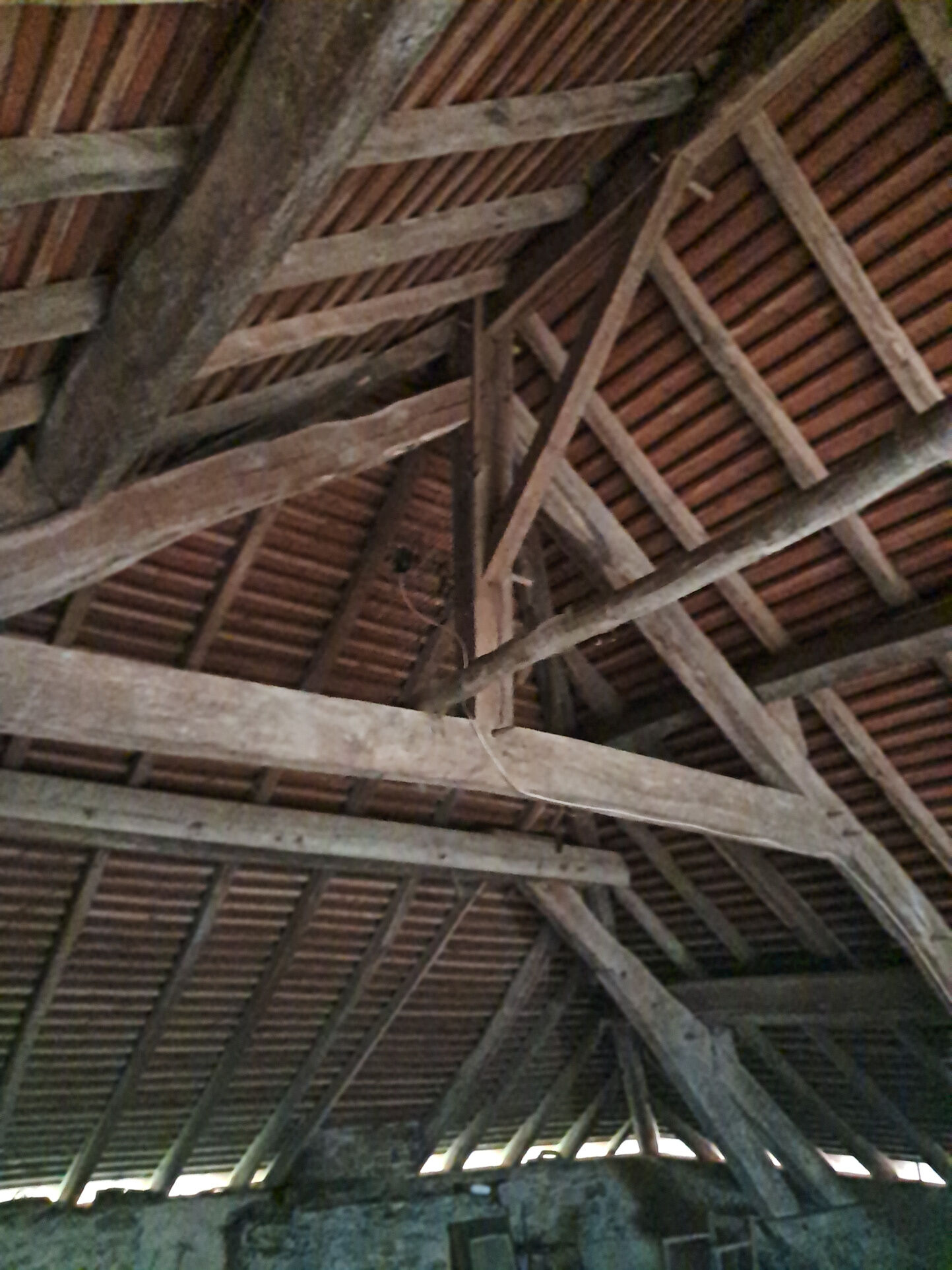 Photo 8 — IMMO COUR ET JARDIN