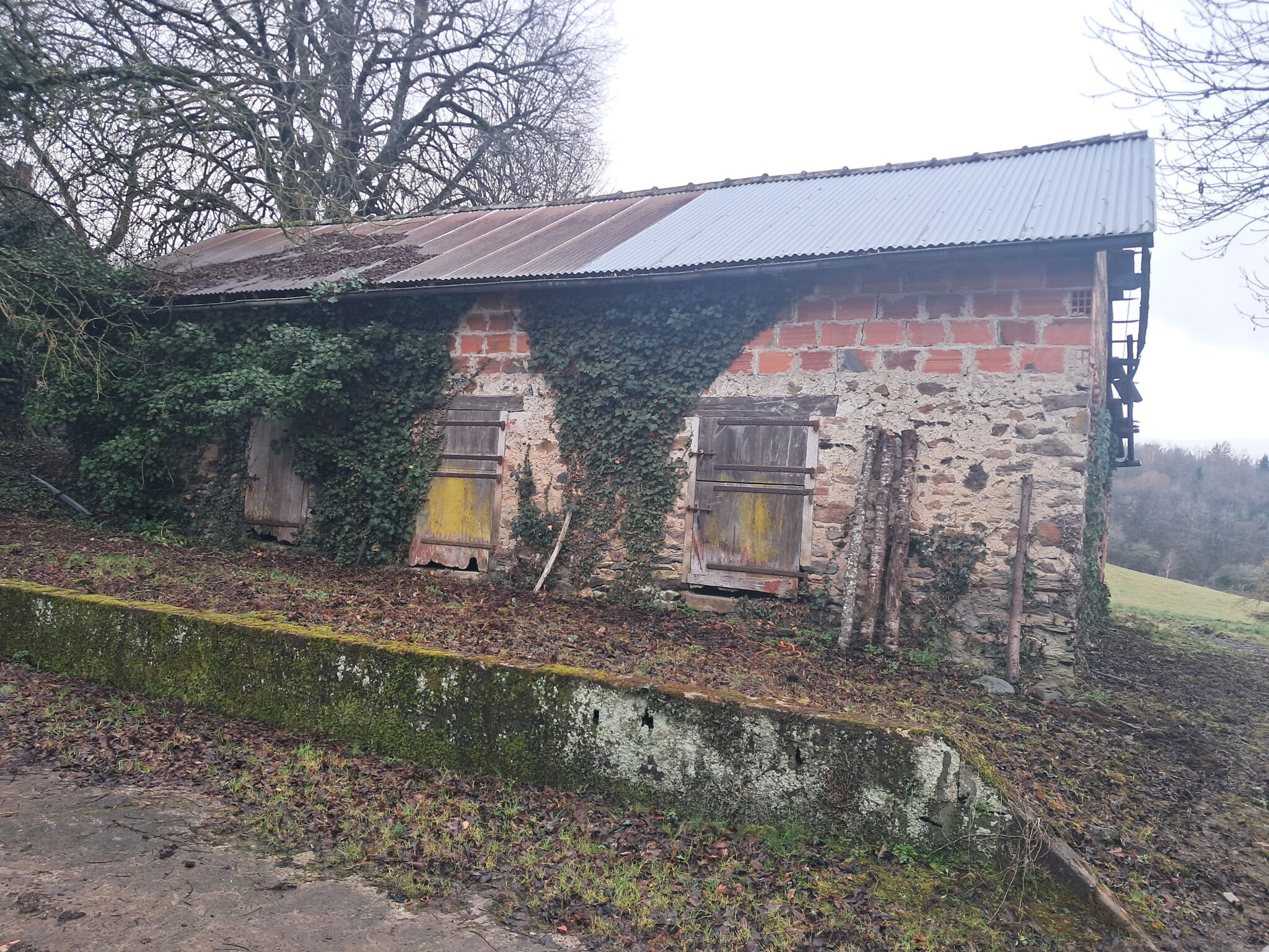Photo 12 — IMMO COUR ET JARDIN
