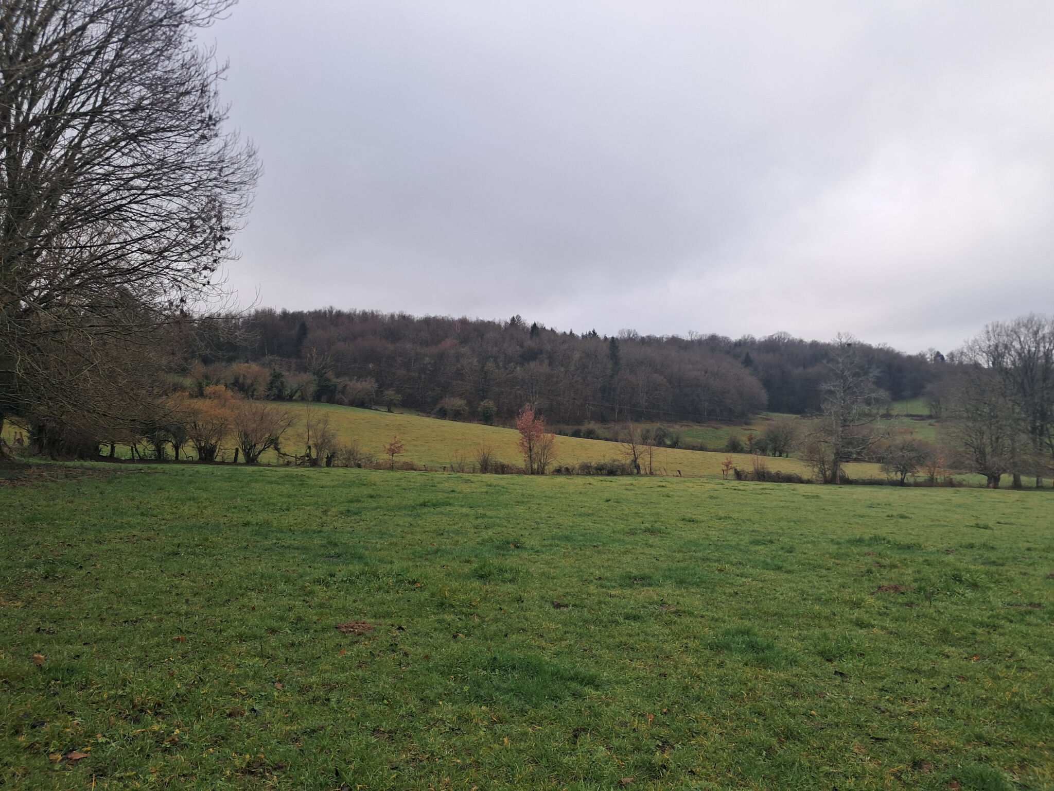 Photo 10 — IMMO COUR ET JARDIN