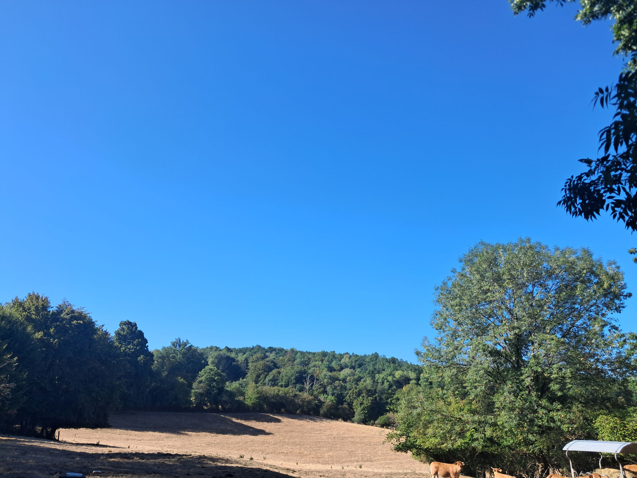 Photo 15 — IMMO COUR ET JARDIN