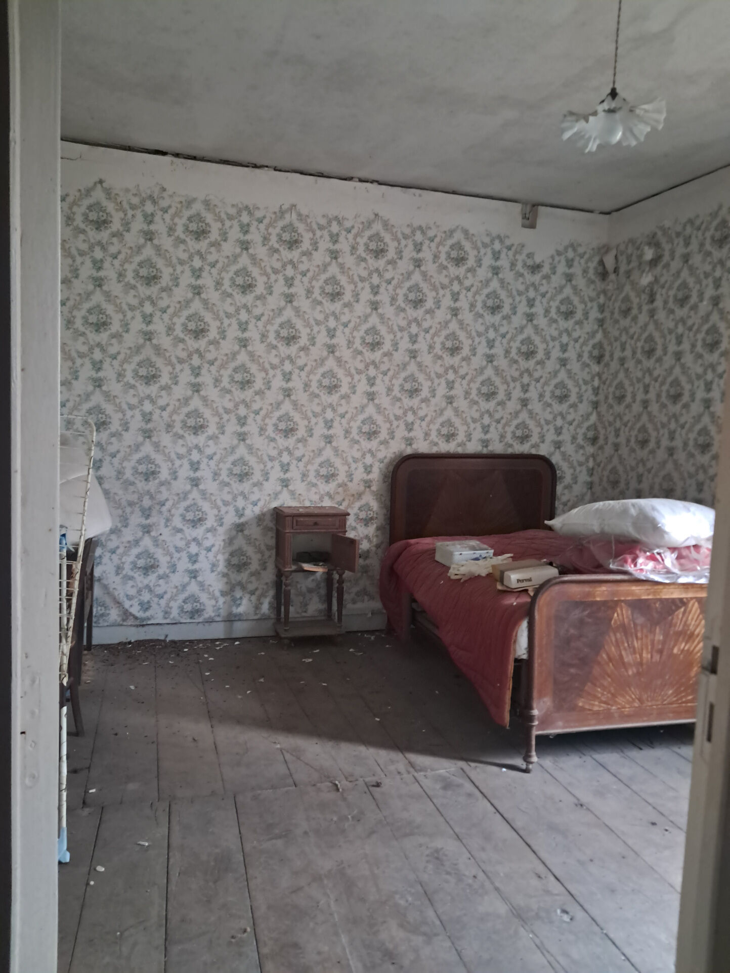 Photo 5 — IMMO COUR ET JARDIN