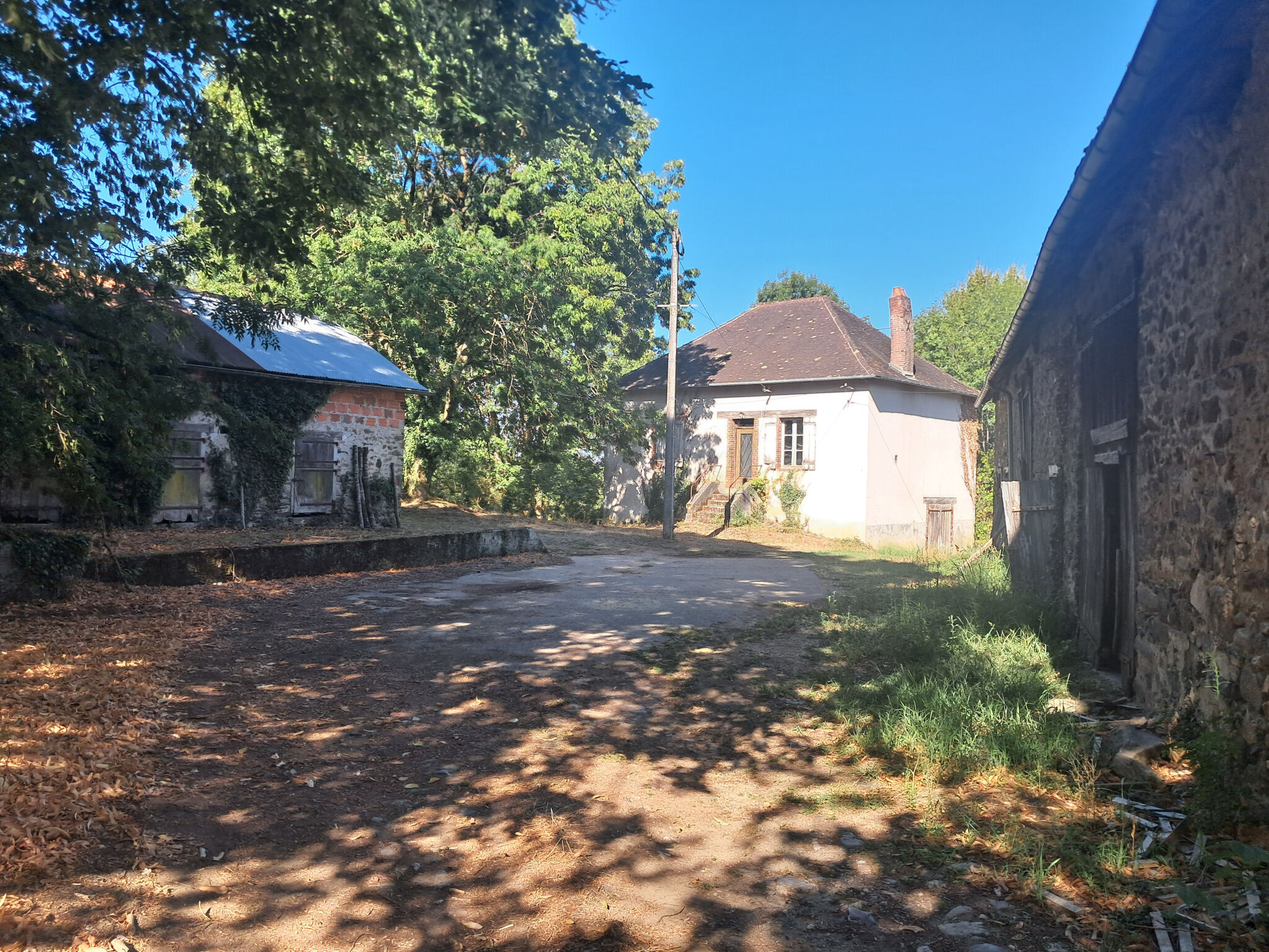Photo 3 — IMMO COUR ET JARDIN