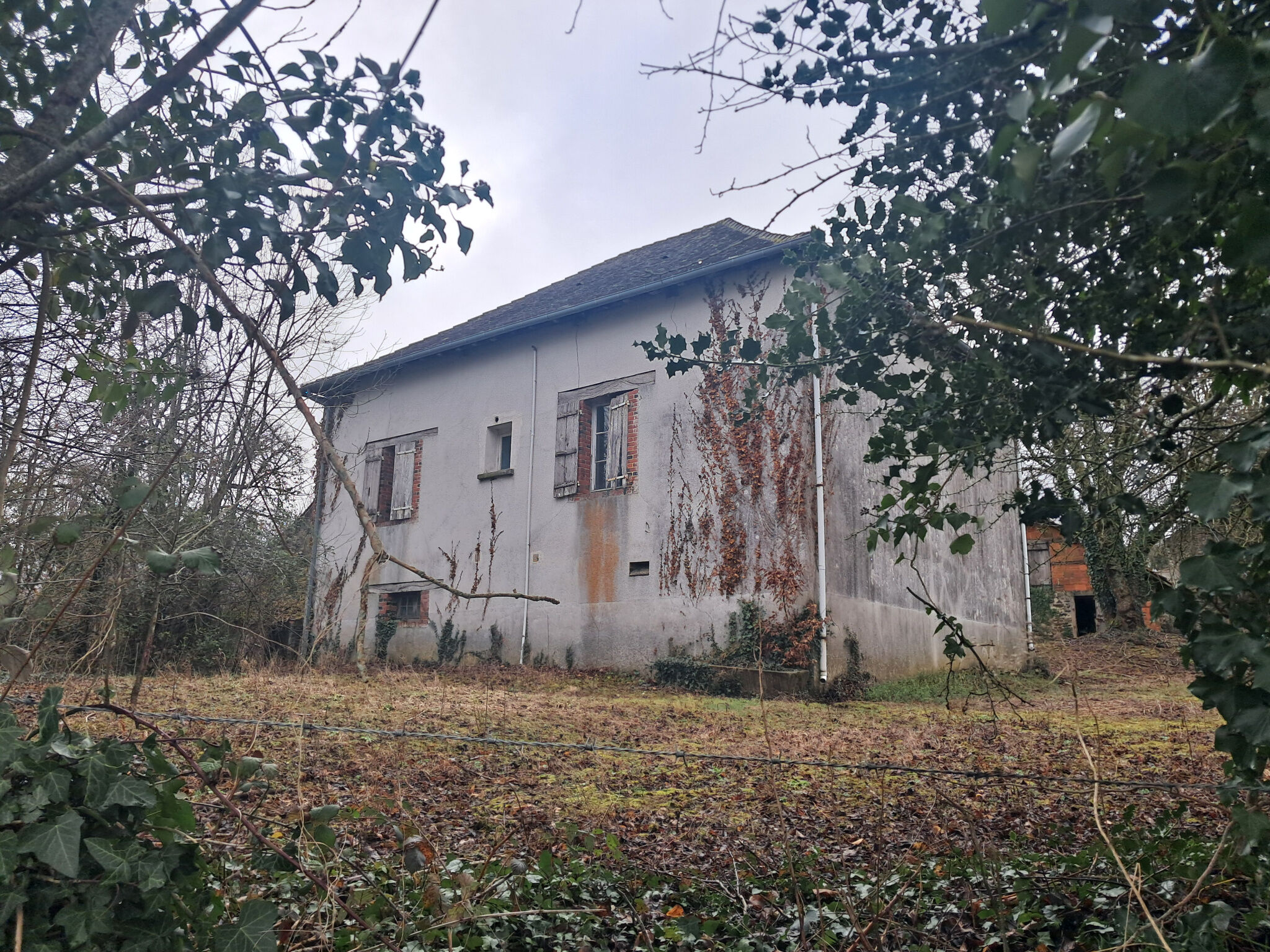 Photo 9 — IMMO COUR ET JARDIN