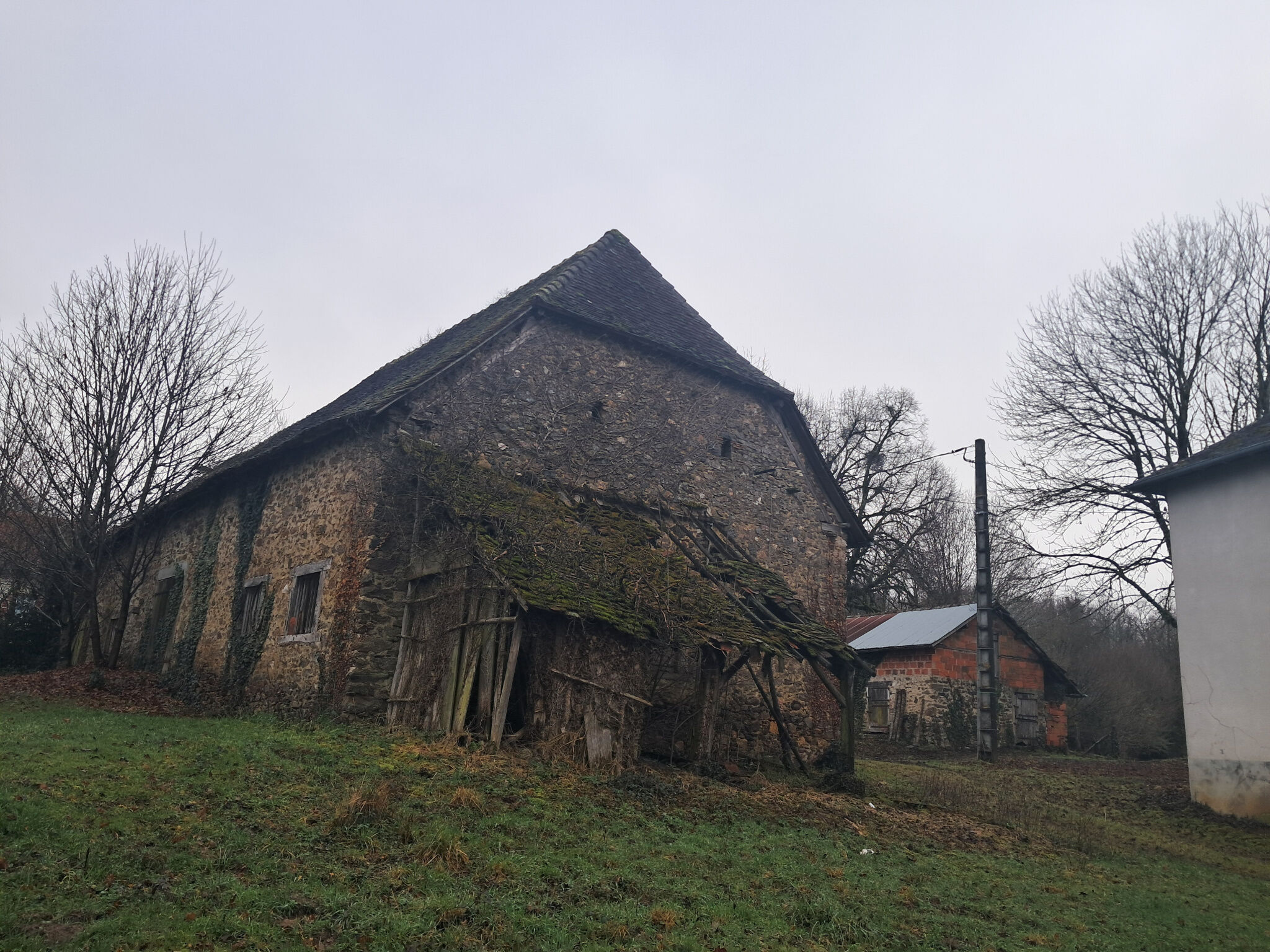 Photo 11 — IMMO COUR ET JARDIN