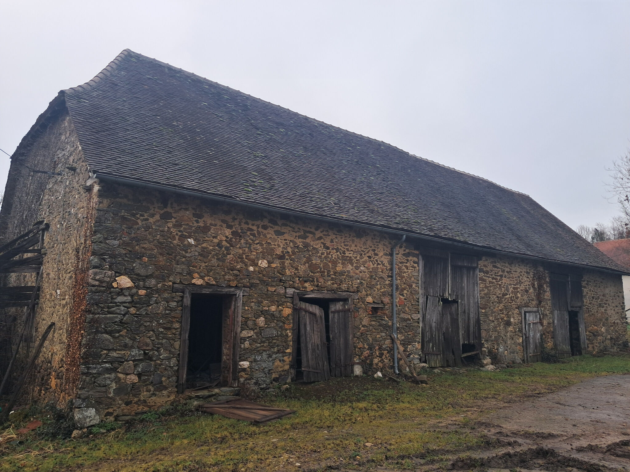 Photo 16 — IMMO COUR ET JARDIN