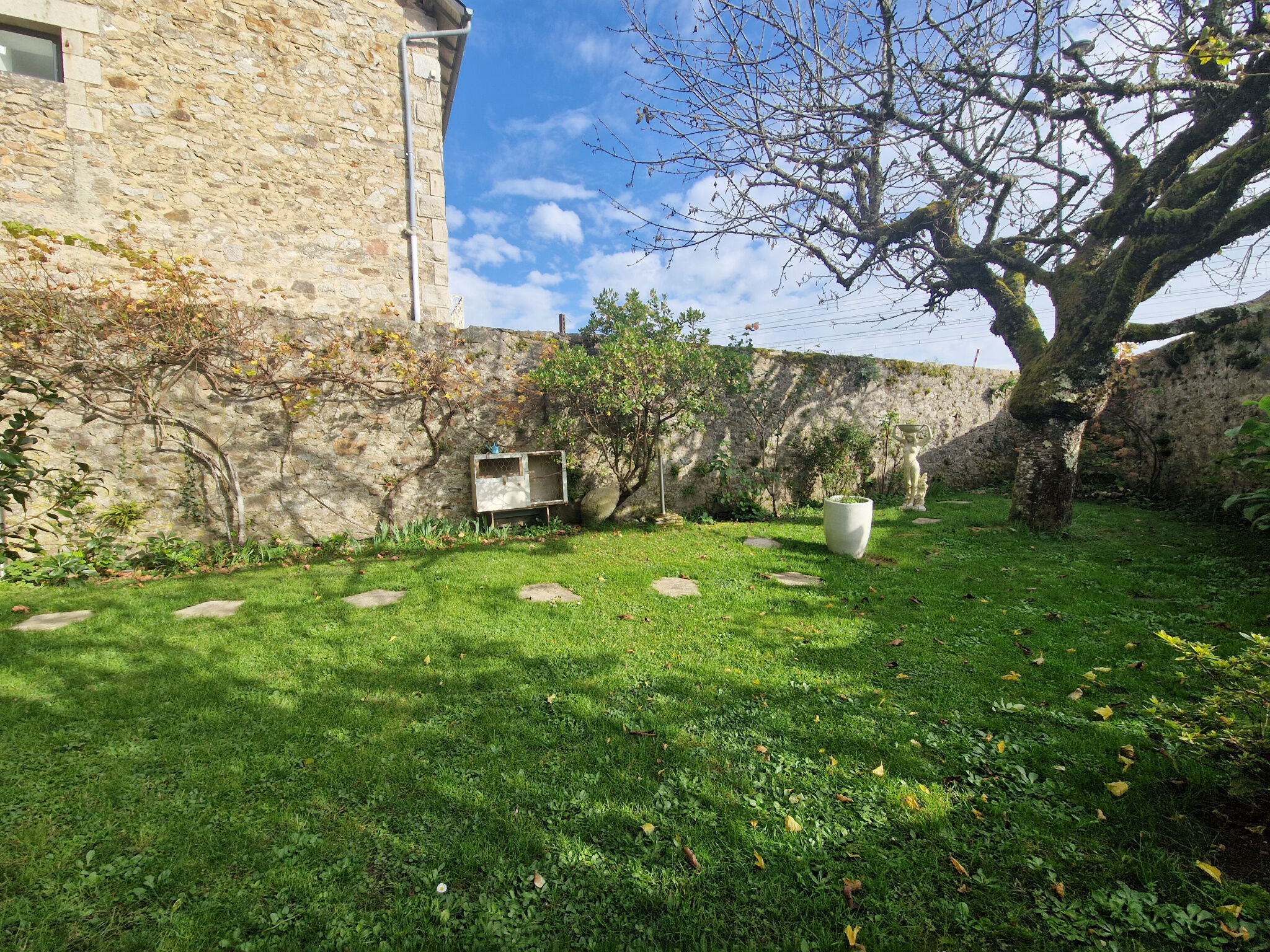 Photo 15 — IMMO COUR ET JARDIN